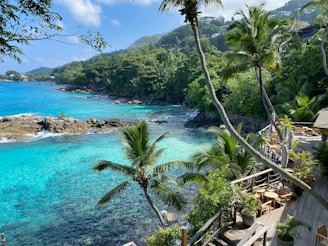 A serene coastal scene featuring crystal clear turquoise waters, surrounded by lush green vegetation and palm trees. The coastal area includes rocky formations and a wooden deck with tables and chairs, suggesting an outdoor restaurant or cafe setting. The vibrant greenery contrasts beautifully with the vibrant blue of the ocean.