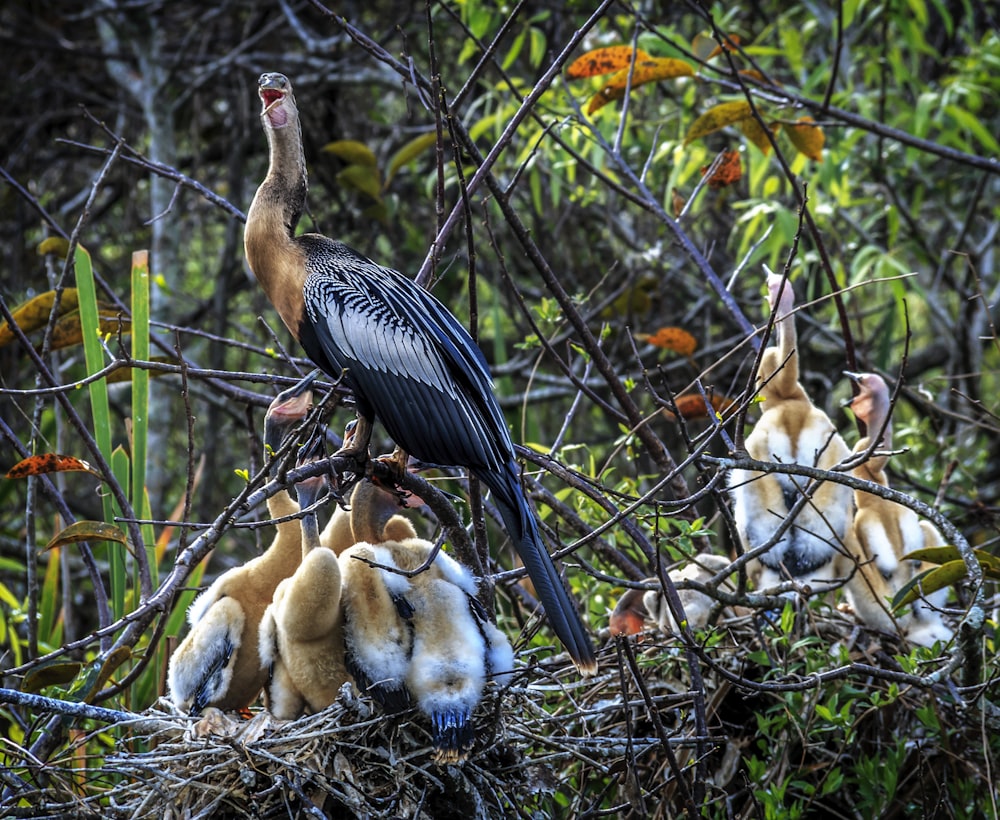 Everglades National Park Pictures | Download Free Images on Unsplash