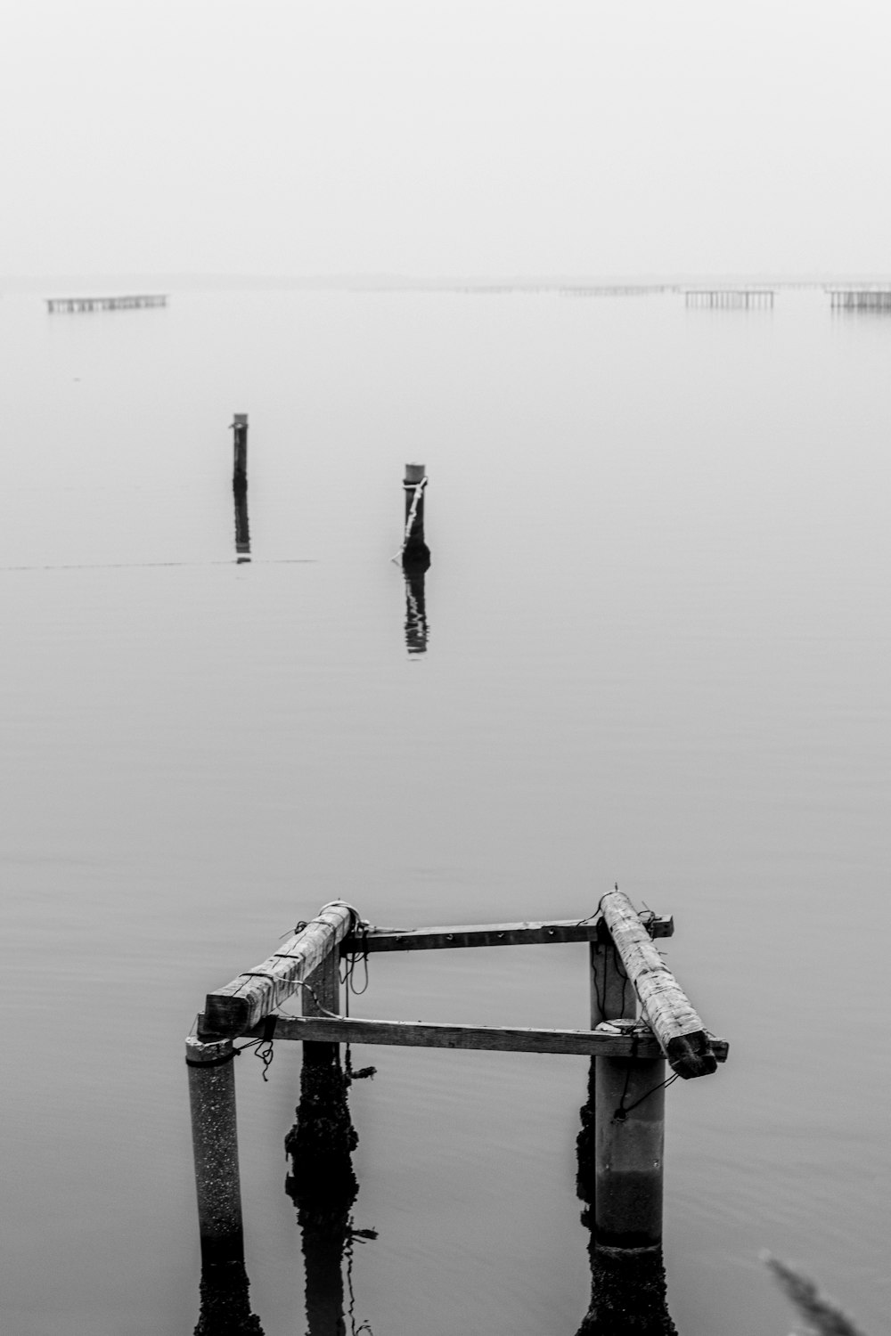 grayscale photo of a man walking on a wooden dock