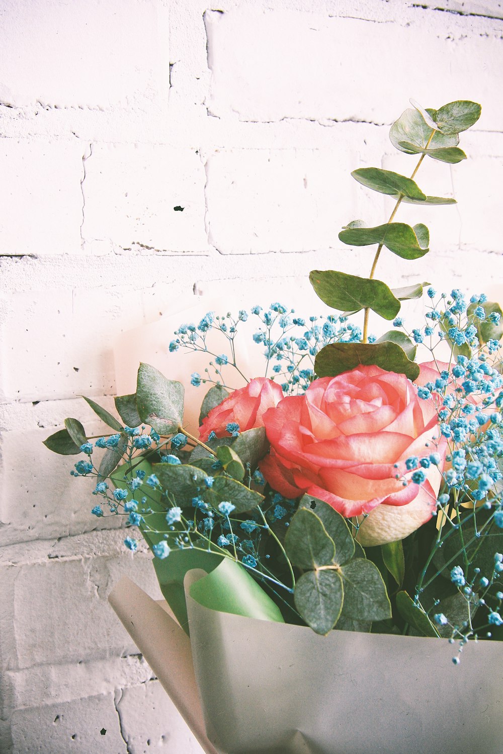 red roses in white ceramic vase