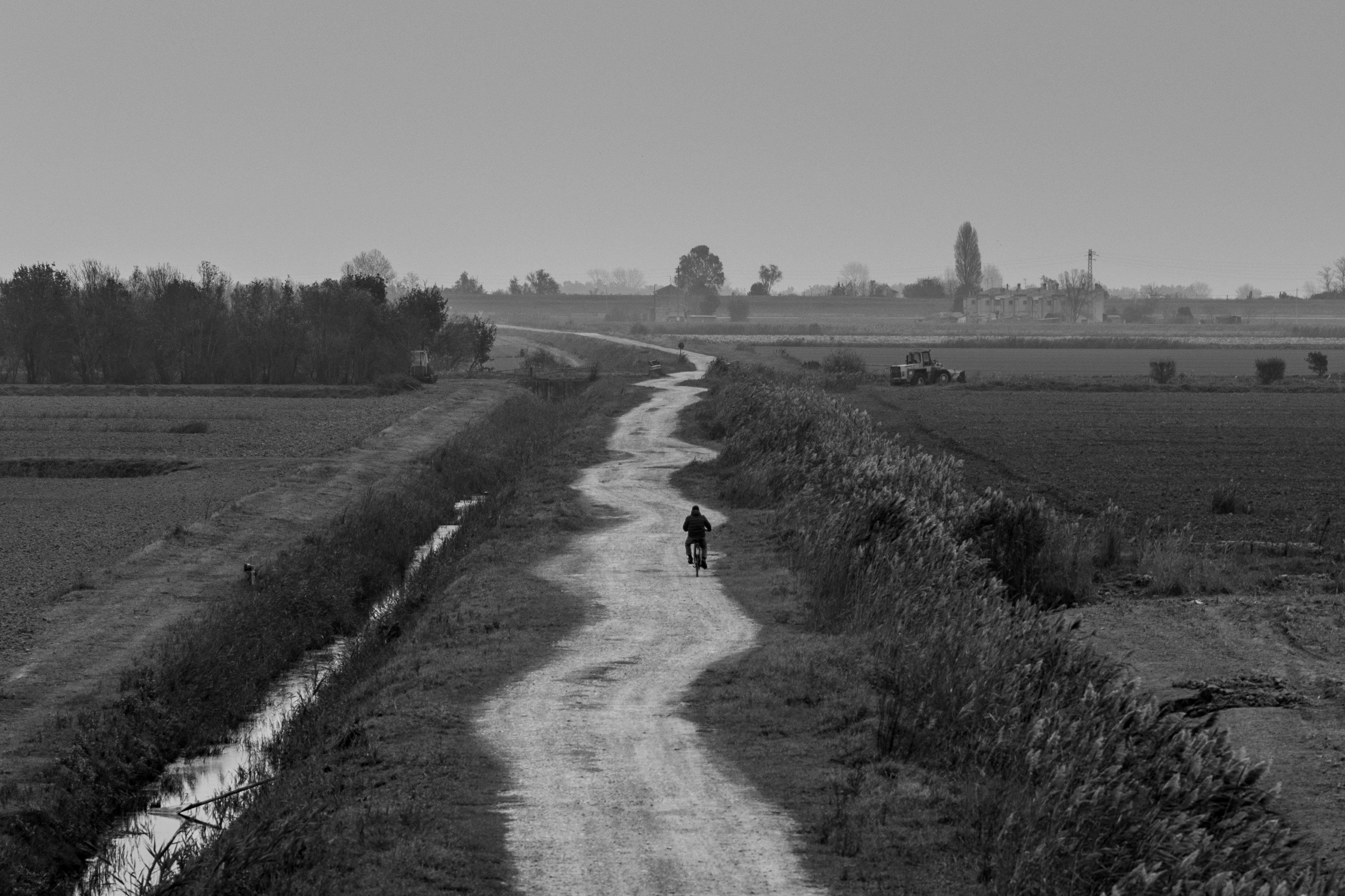 Photo by massimo_adami