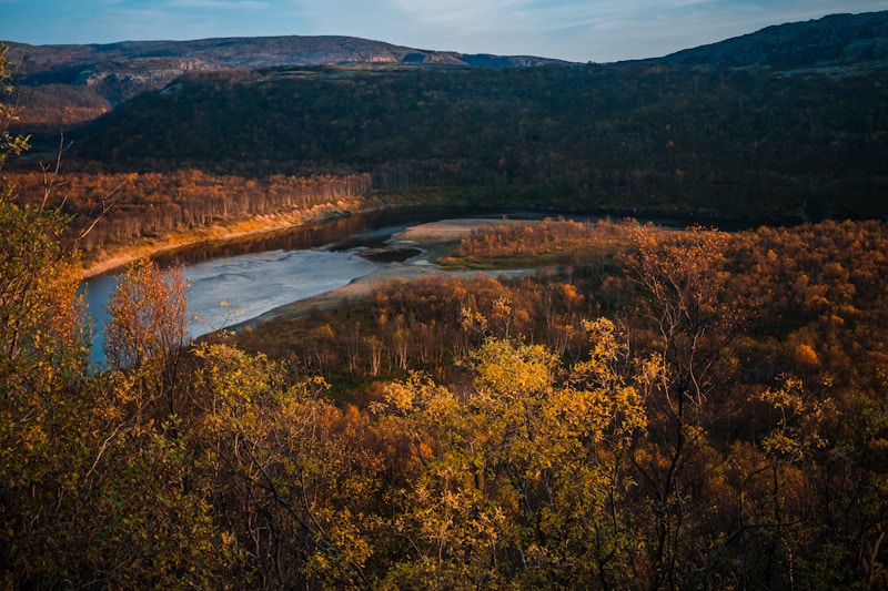 Gadzhiyevo