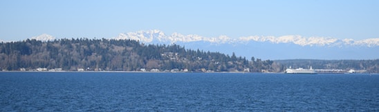 A serene view of Orcas Island shoreline with a Washington State ferry approaching in the distance under a clear blue sky.