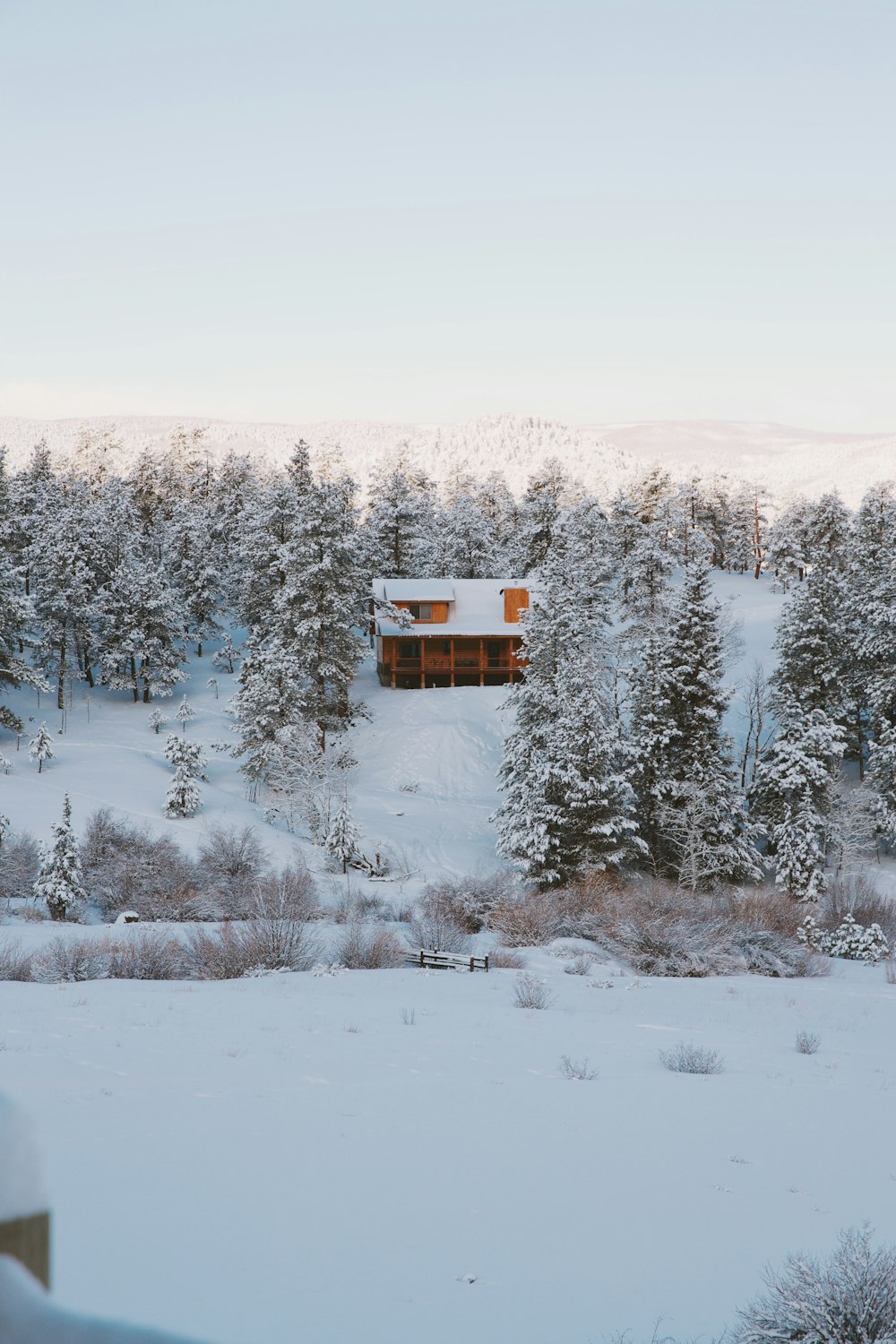 눈 덮인 땅에 갈색과 흰색 목조 주택