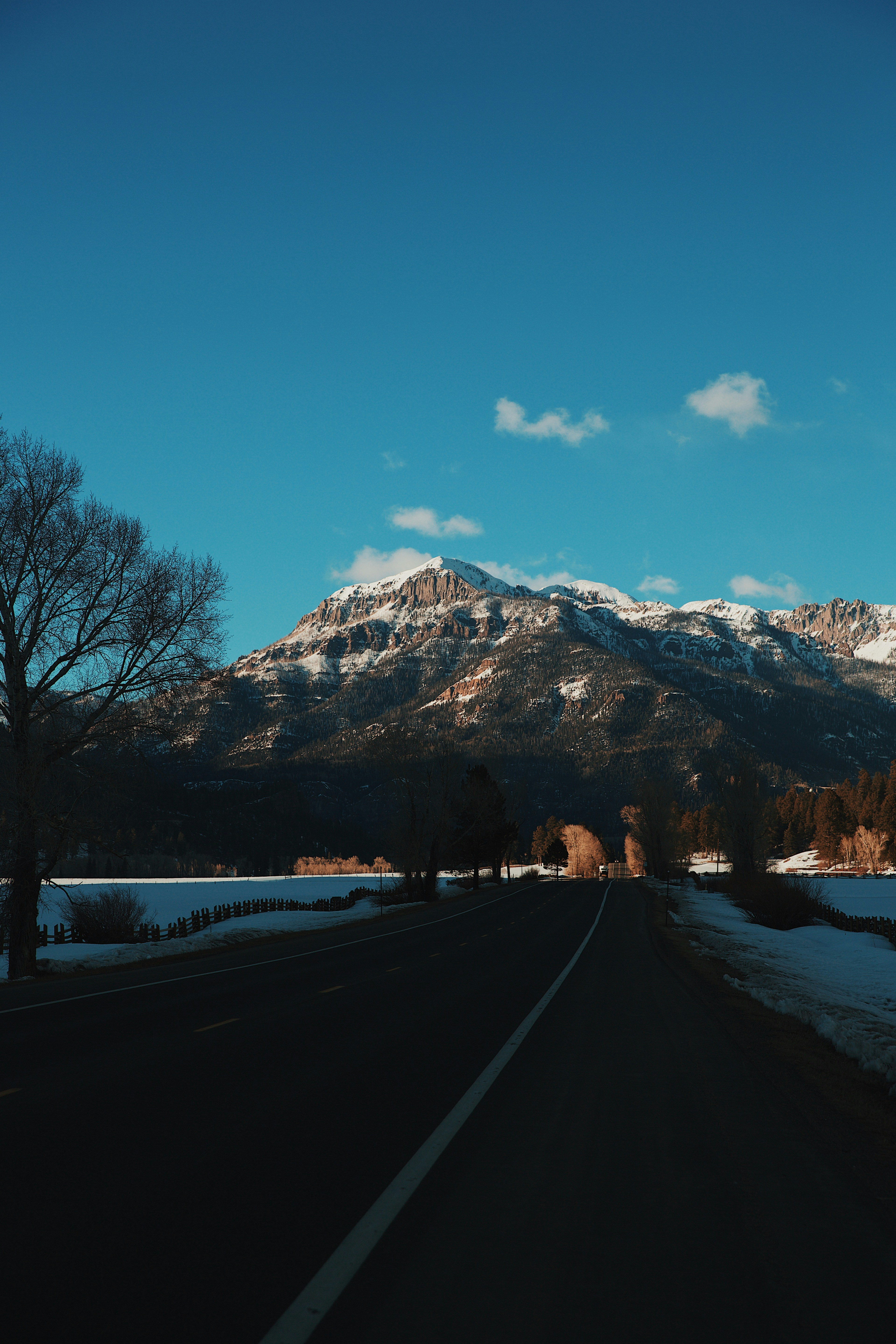昼間の雪山近くの黒いアスファルト道路