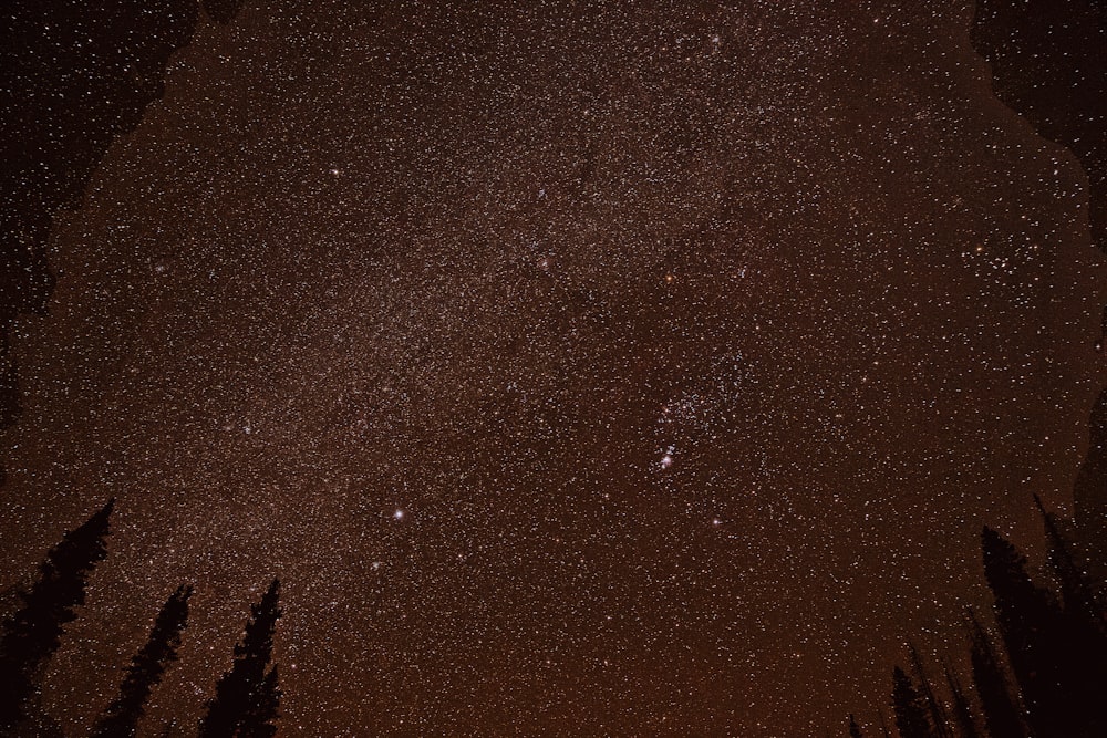 stars in the sky during night time