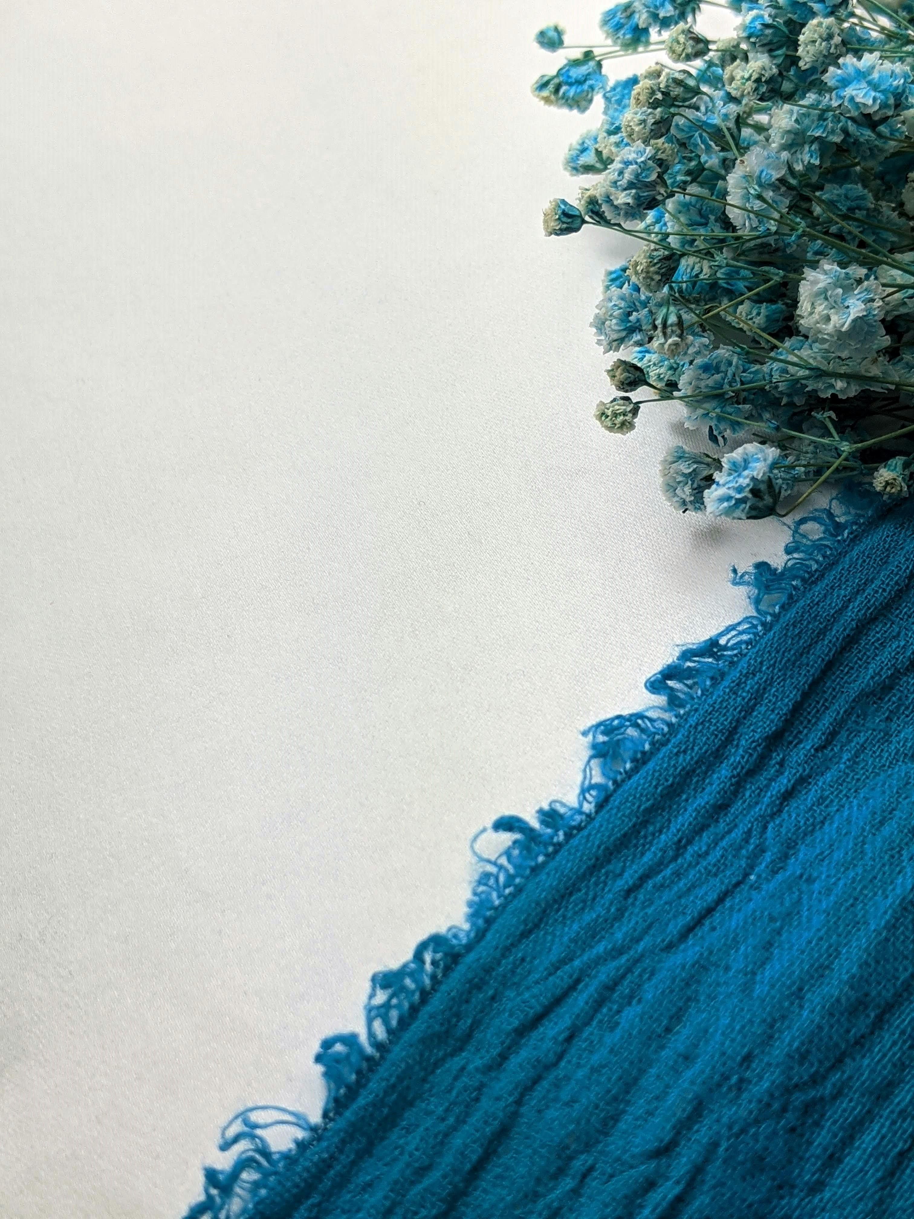 Photo by susan_wilkinson