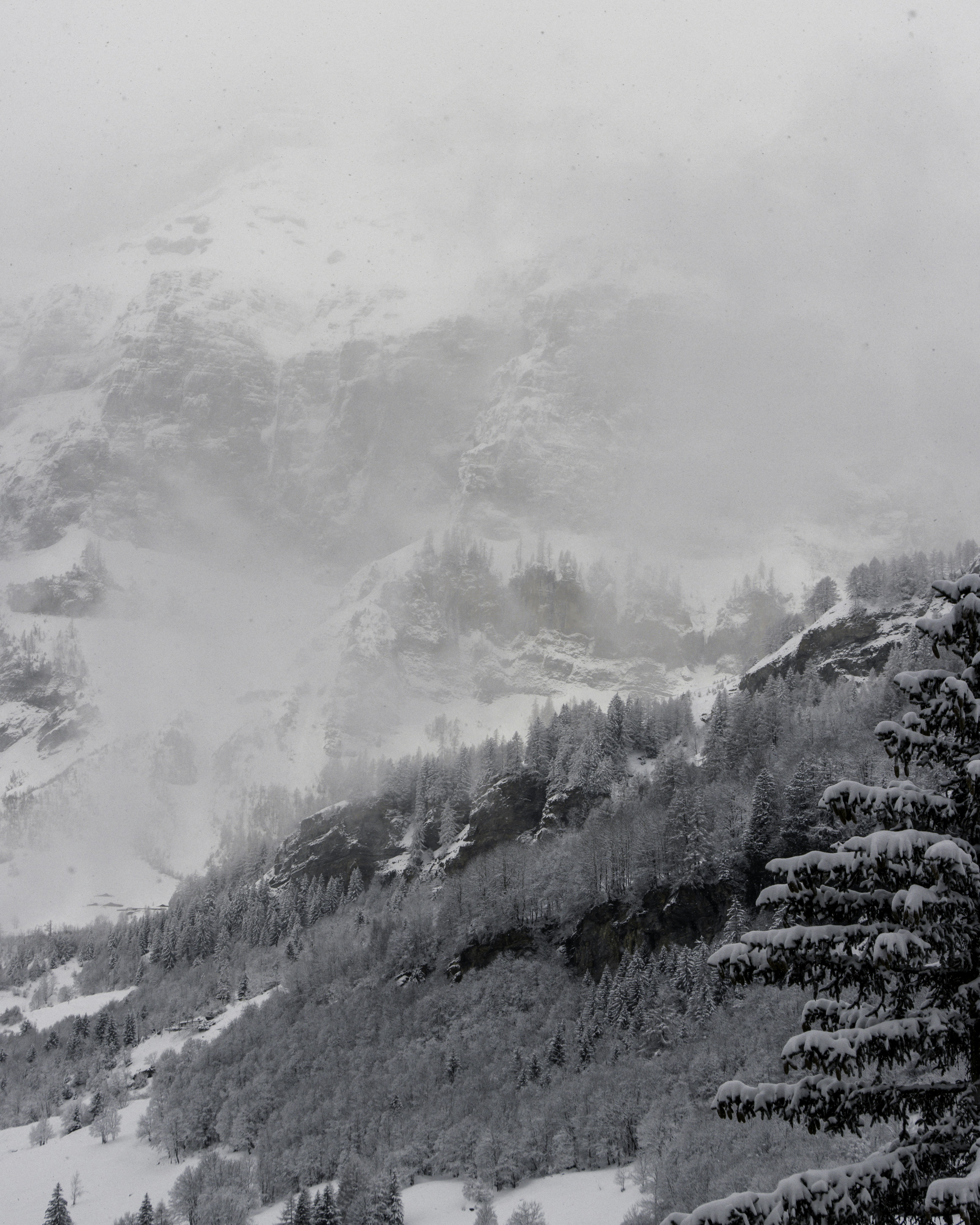 Photo by tersiusvanrhyn