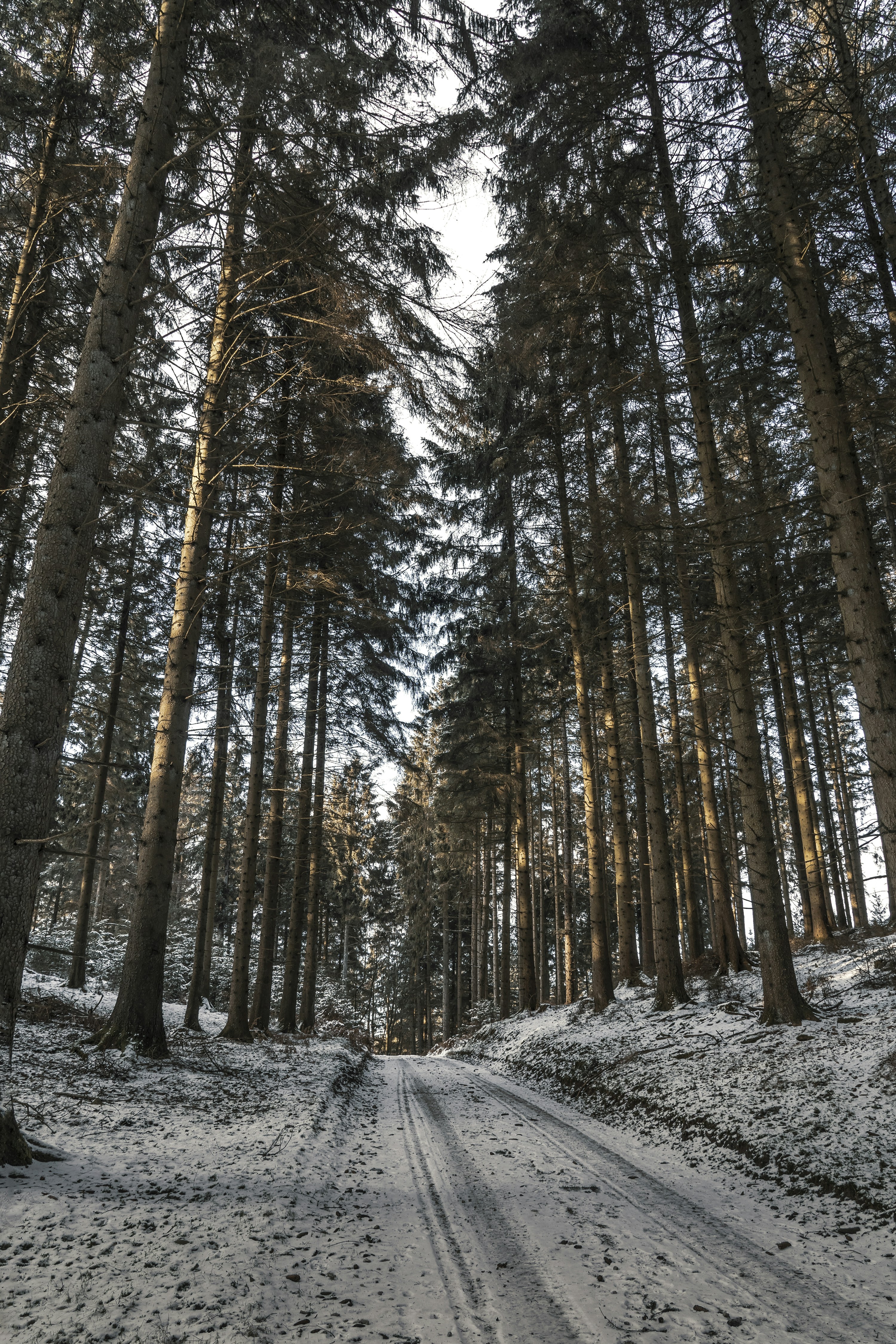 Photo by martin_dalsgaard