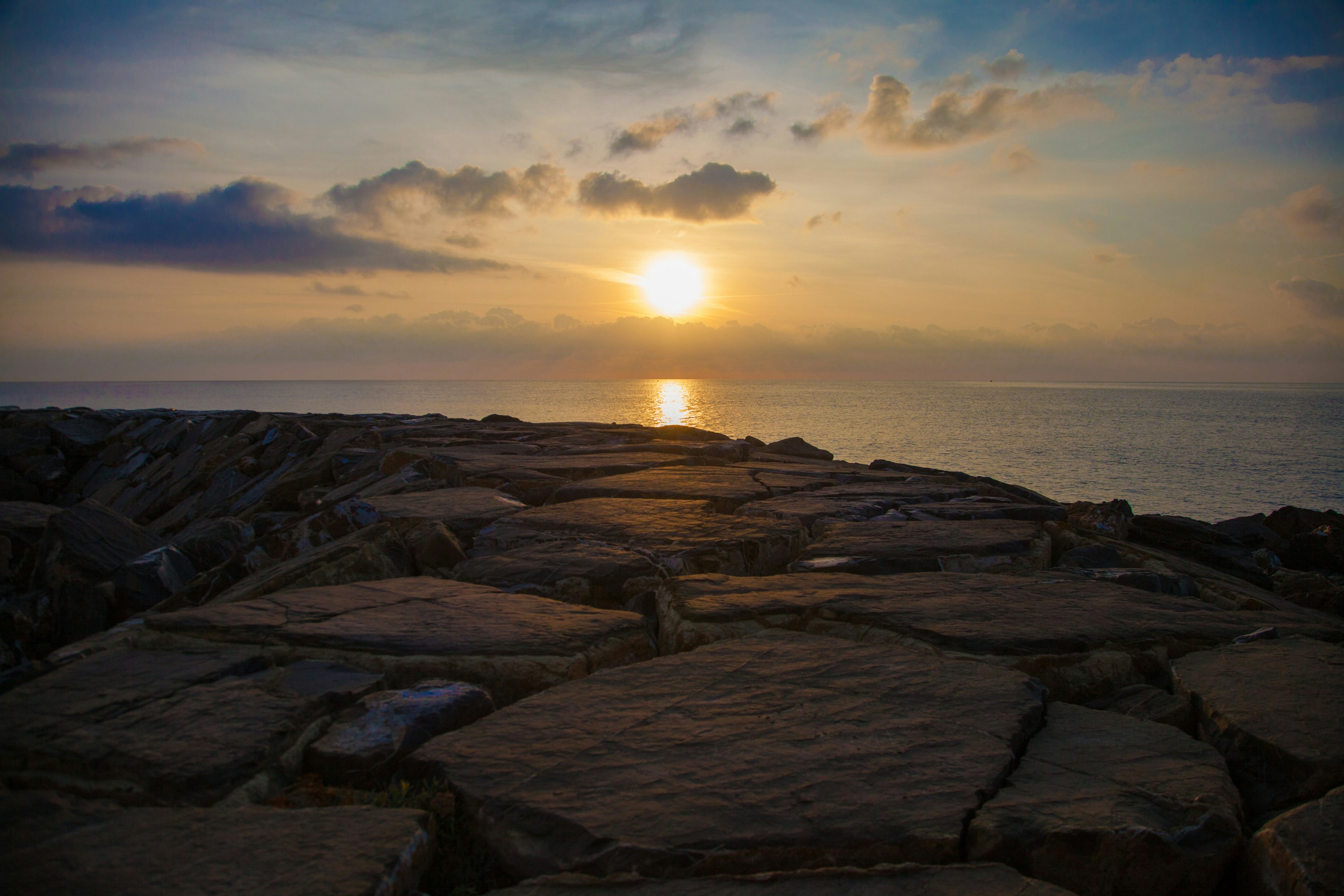 Photo by davidebrancato01