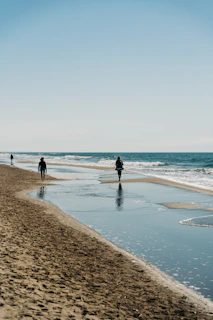 people walking on beach during daytime