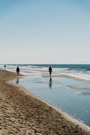 people walking on beach during daytime