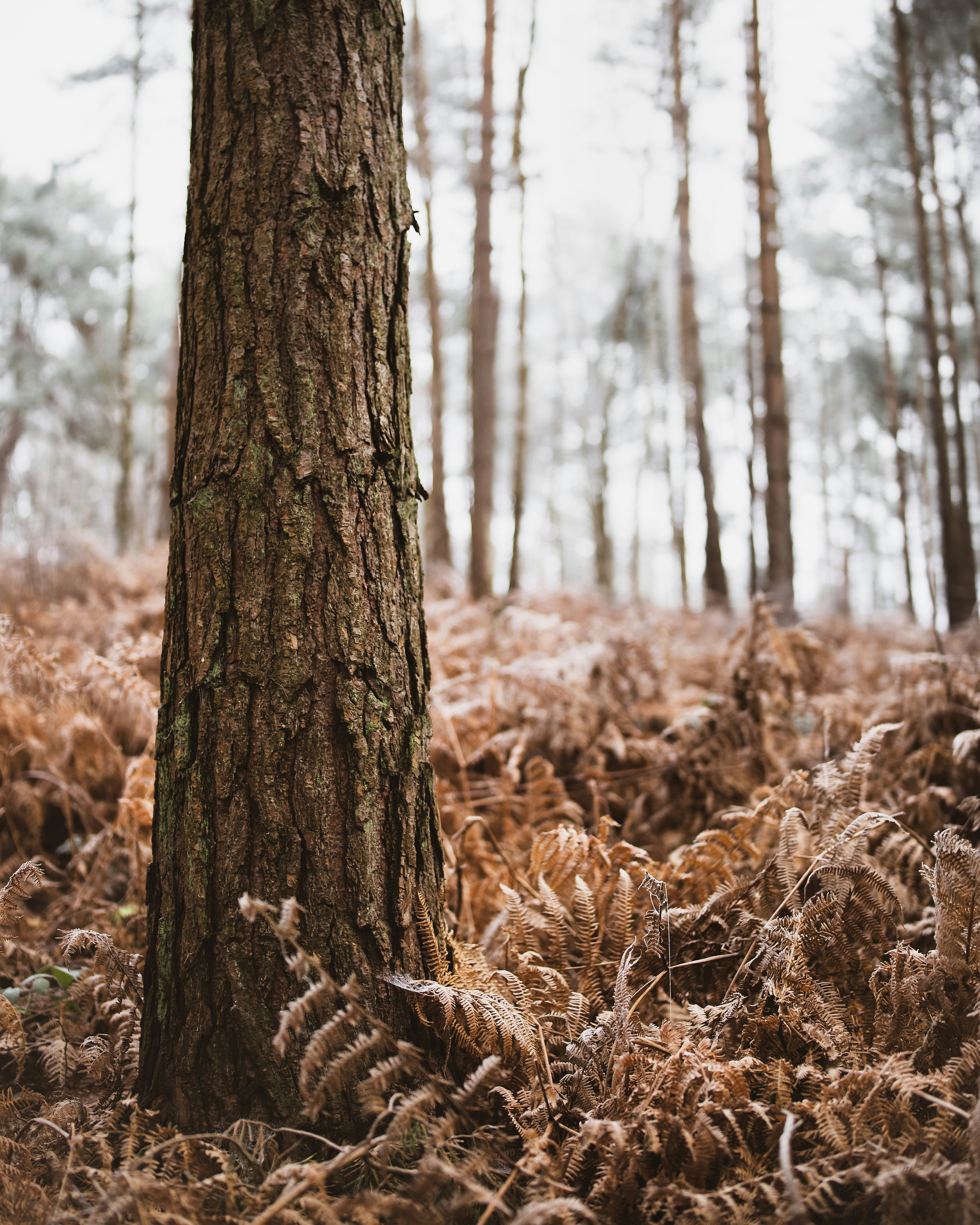 Photo by williambarellaphoto