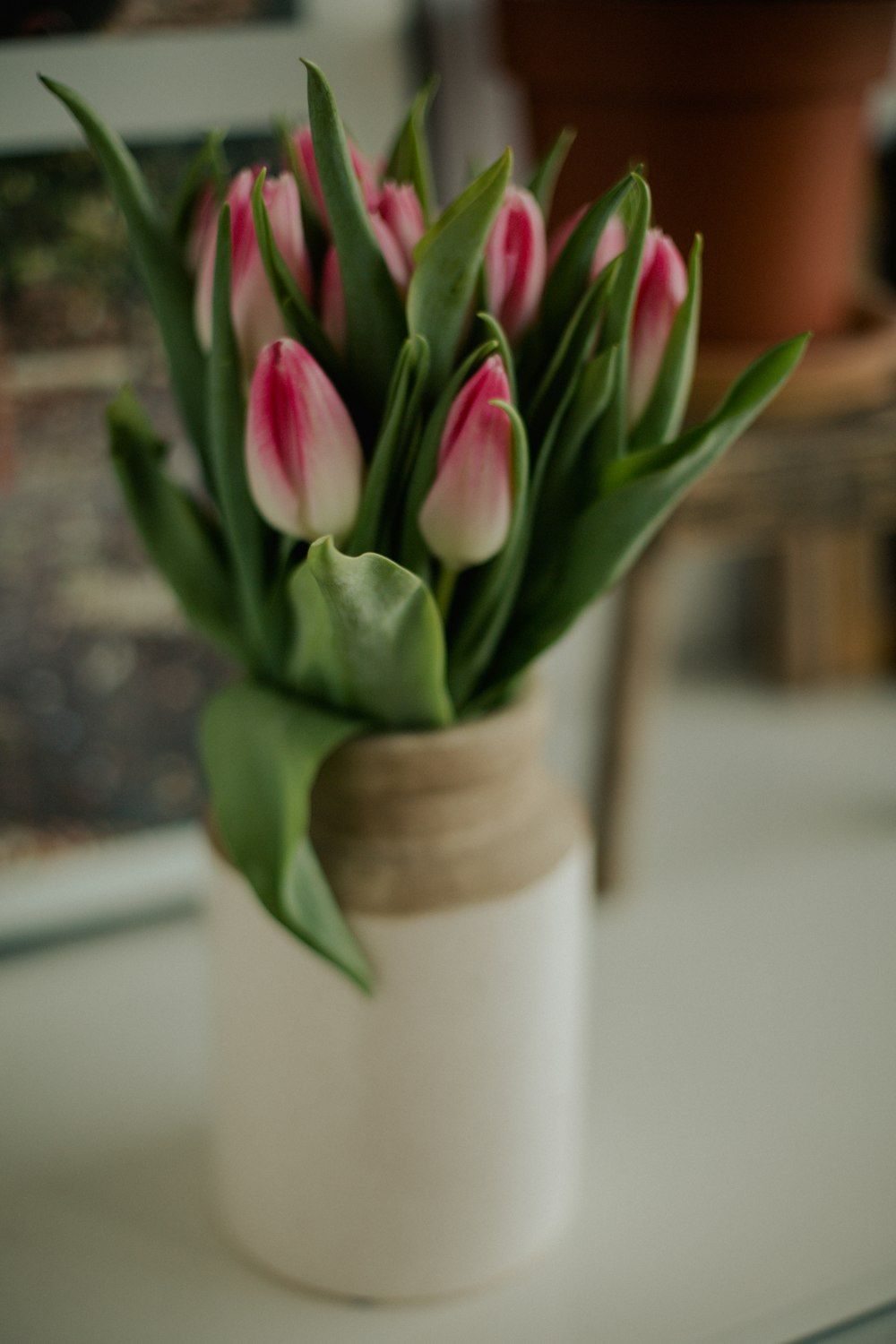 purple tulips in white ceramic vase