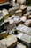 A variety of cheeses are displayed on a market stand, each labeled with pricing. Some of the packages are wrapped in plastic. There are visible price tags, including one for 'Pecorino' and others with varying prices. In the background, there are bottles and other produce items.