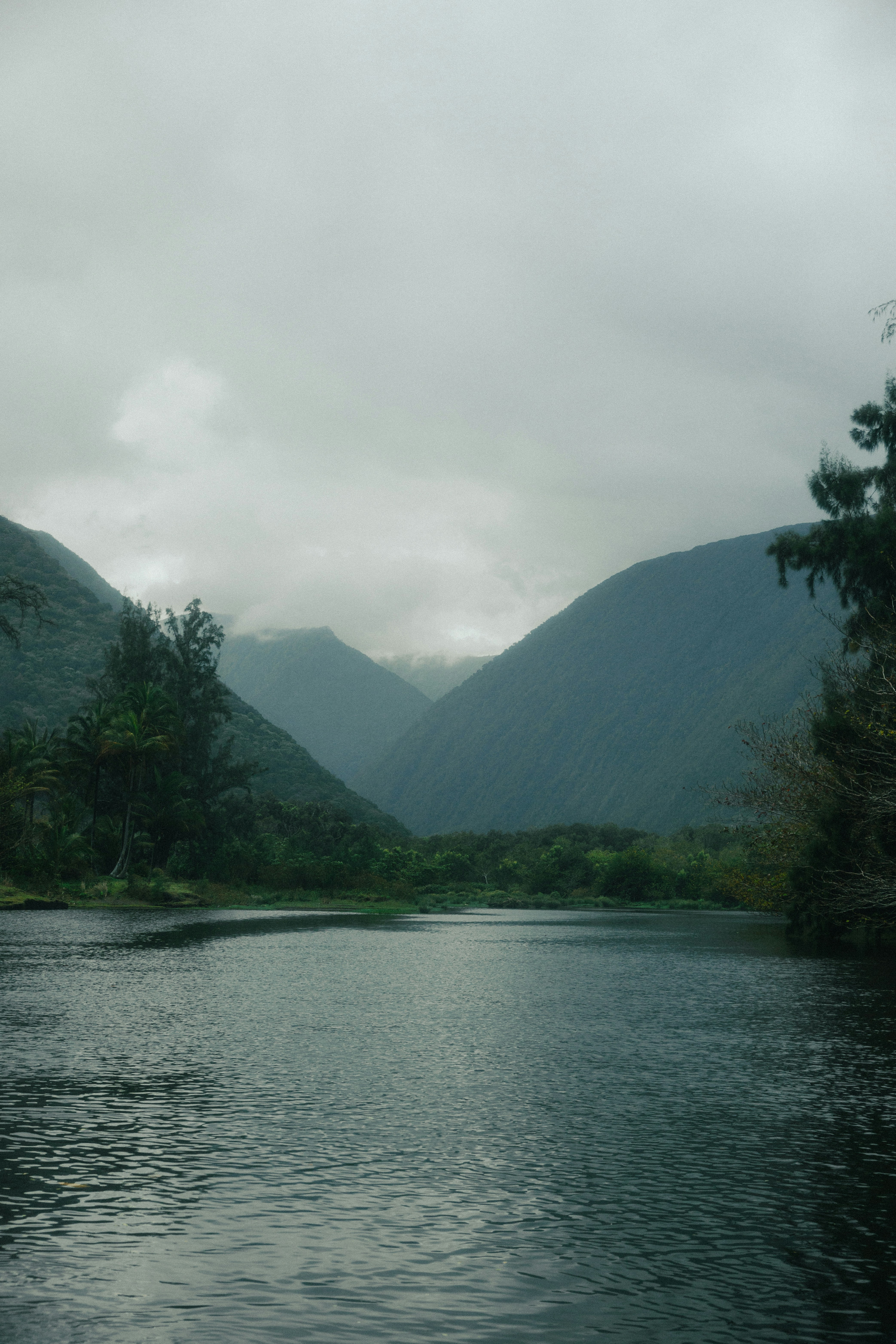 Photo by jakobowens1