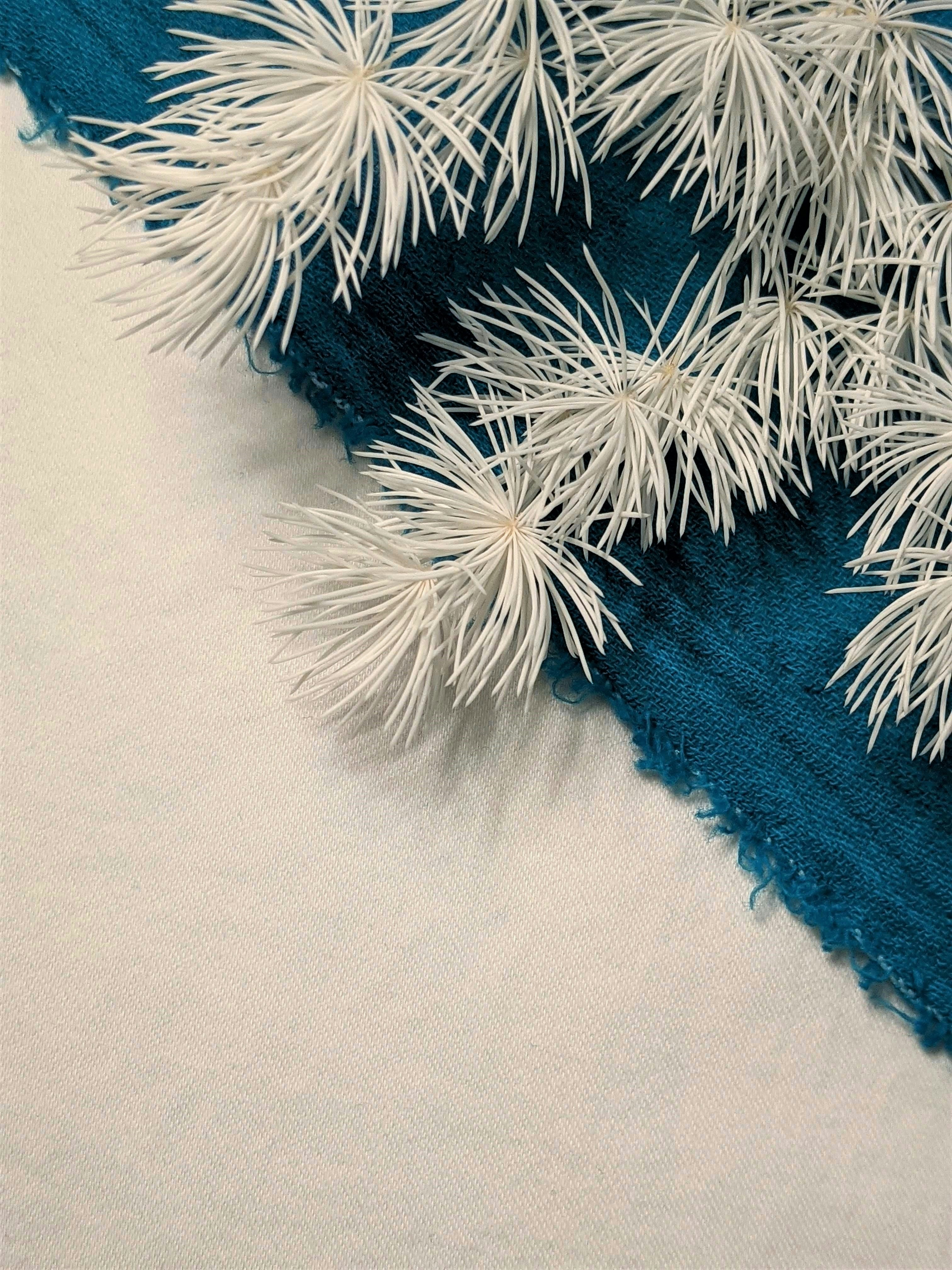 Photo by susan_wilkinson