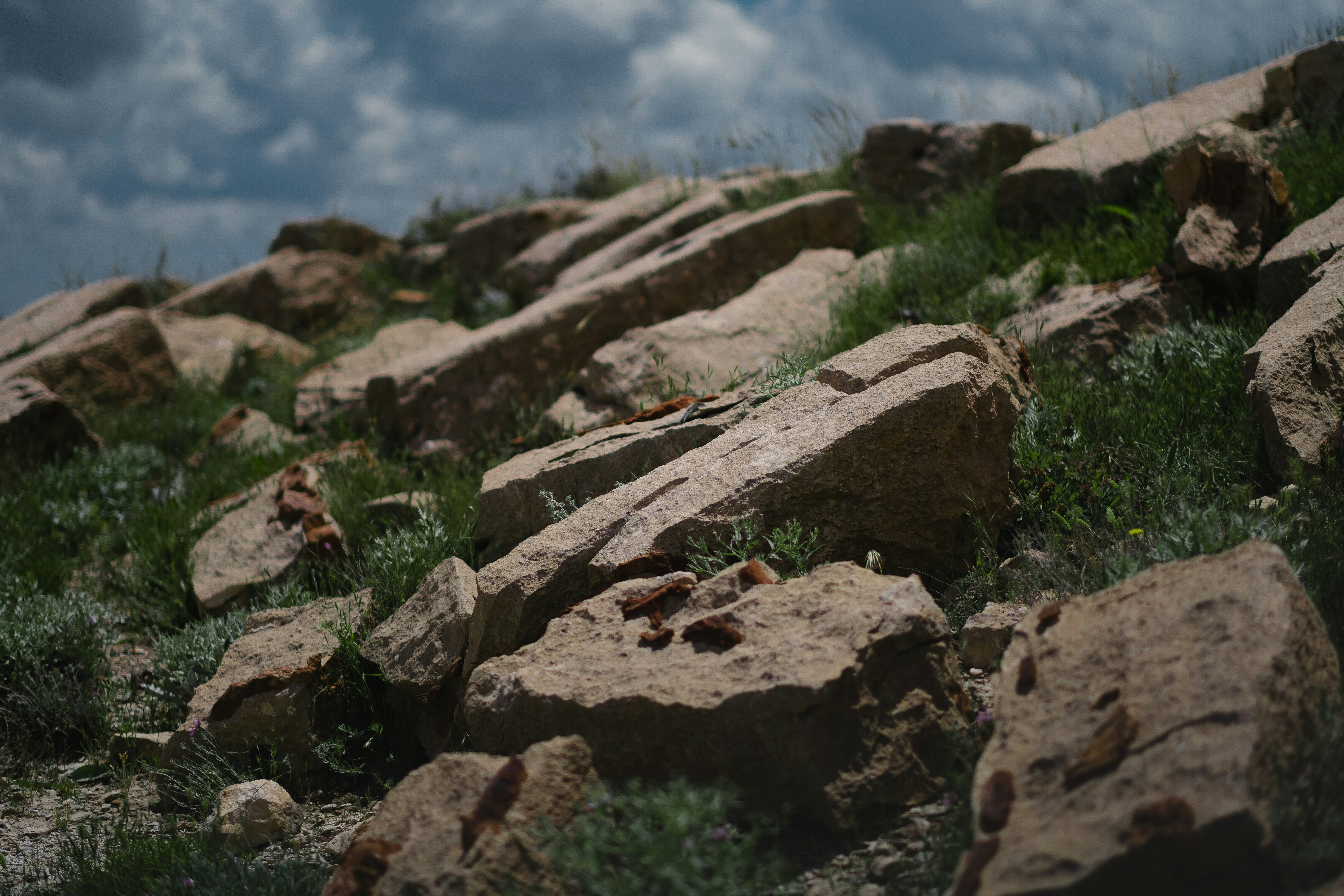 Photo by levimeirclancy