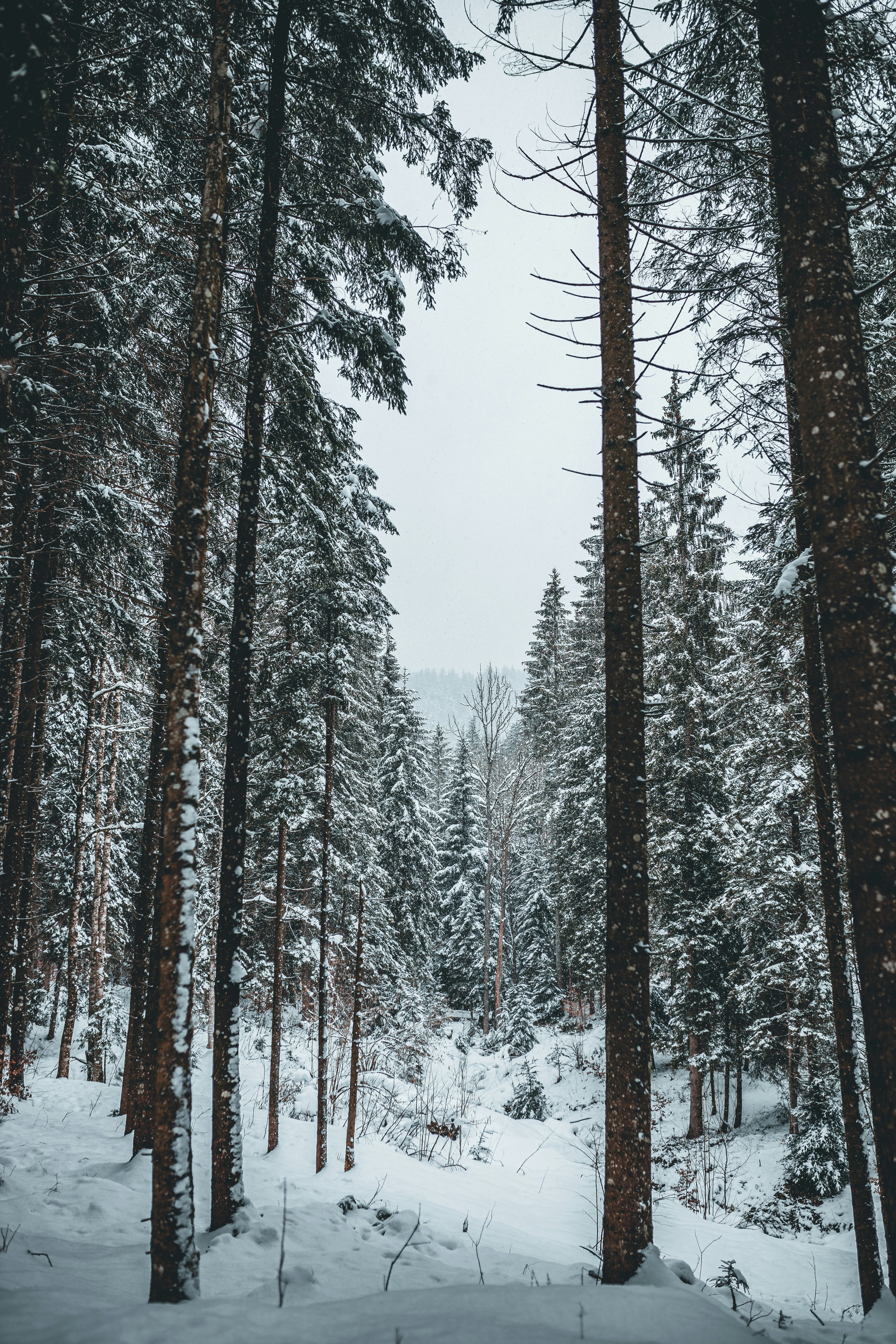 Photo by danakatharina