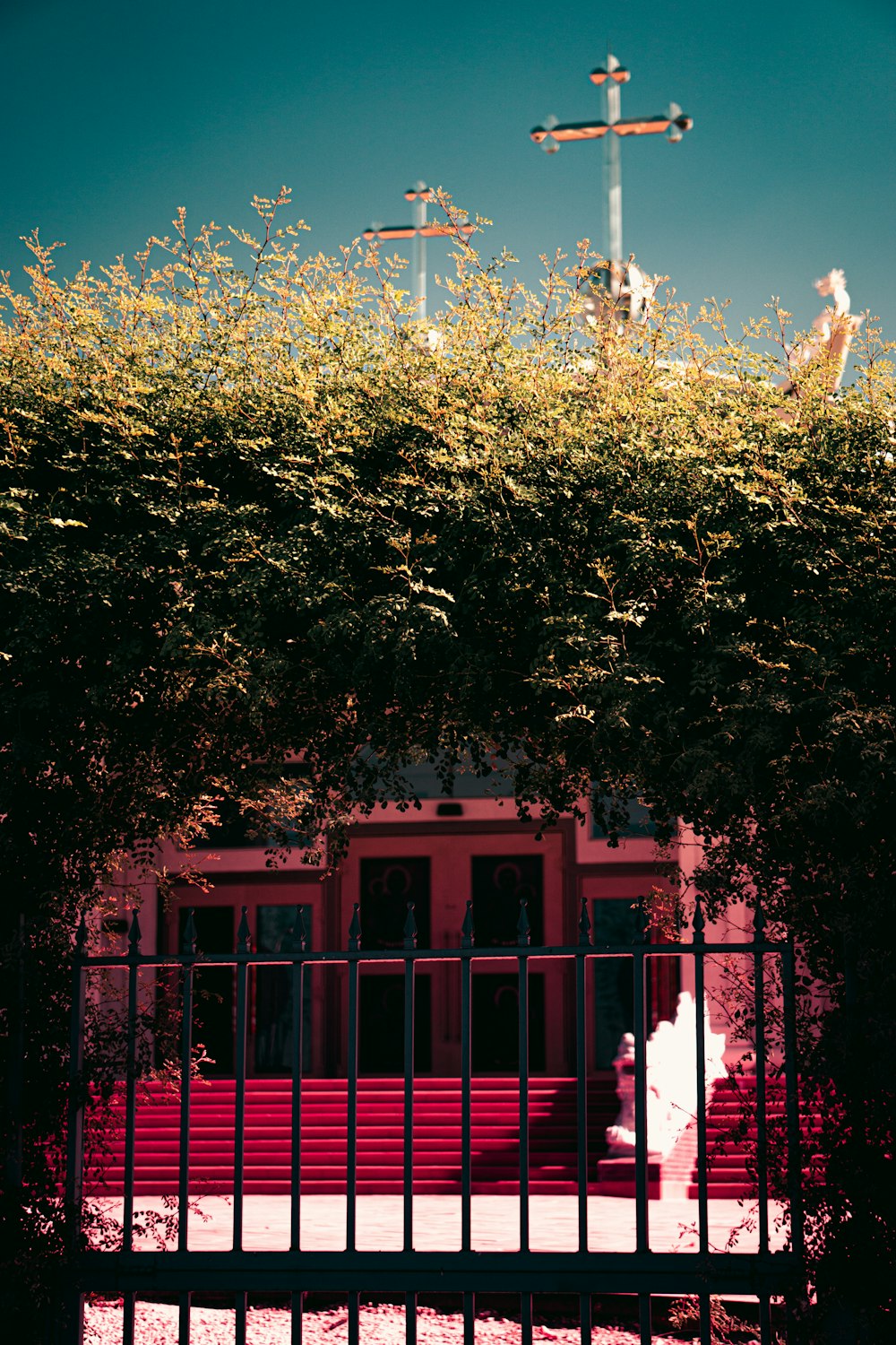 red wooden door with green leaves