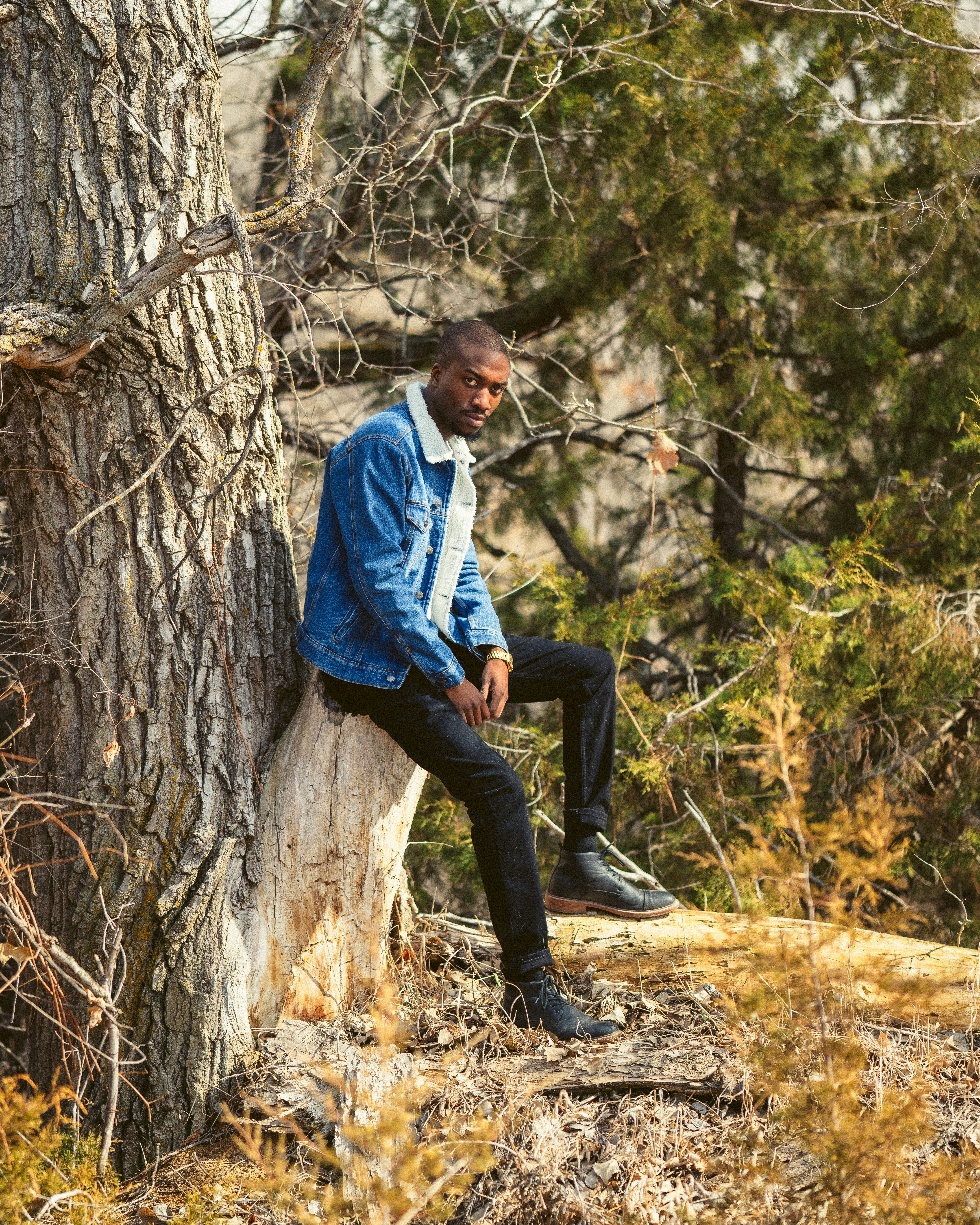 man in blue dress shirt and black pants sitting on brown tree trunk during daytime