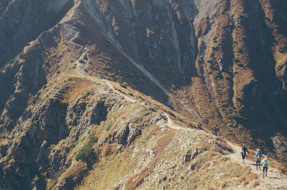 brown and green mountain during daytime