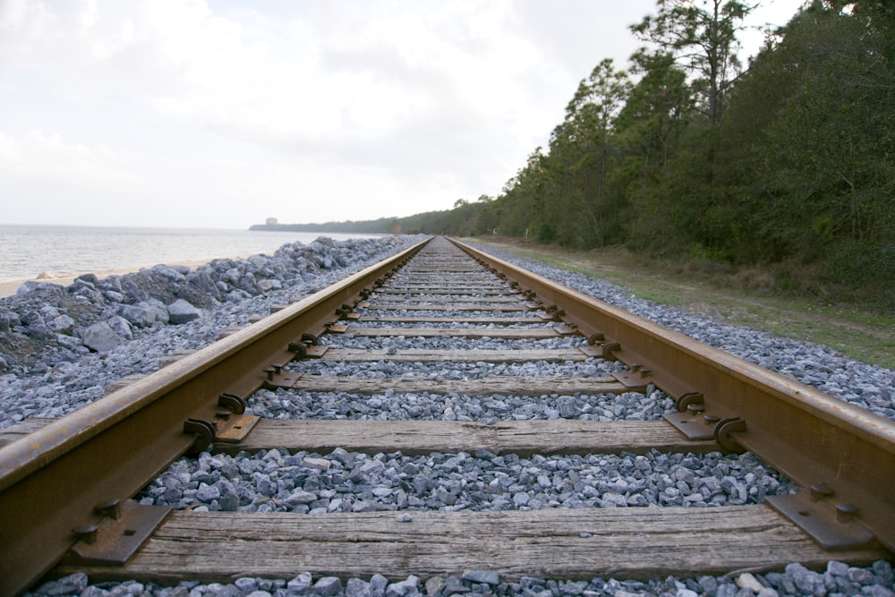 Tren cerca de árboles verdes durante el día