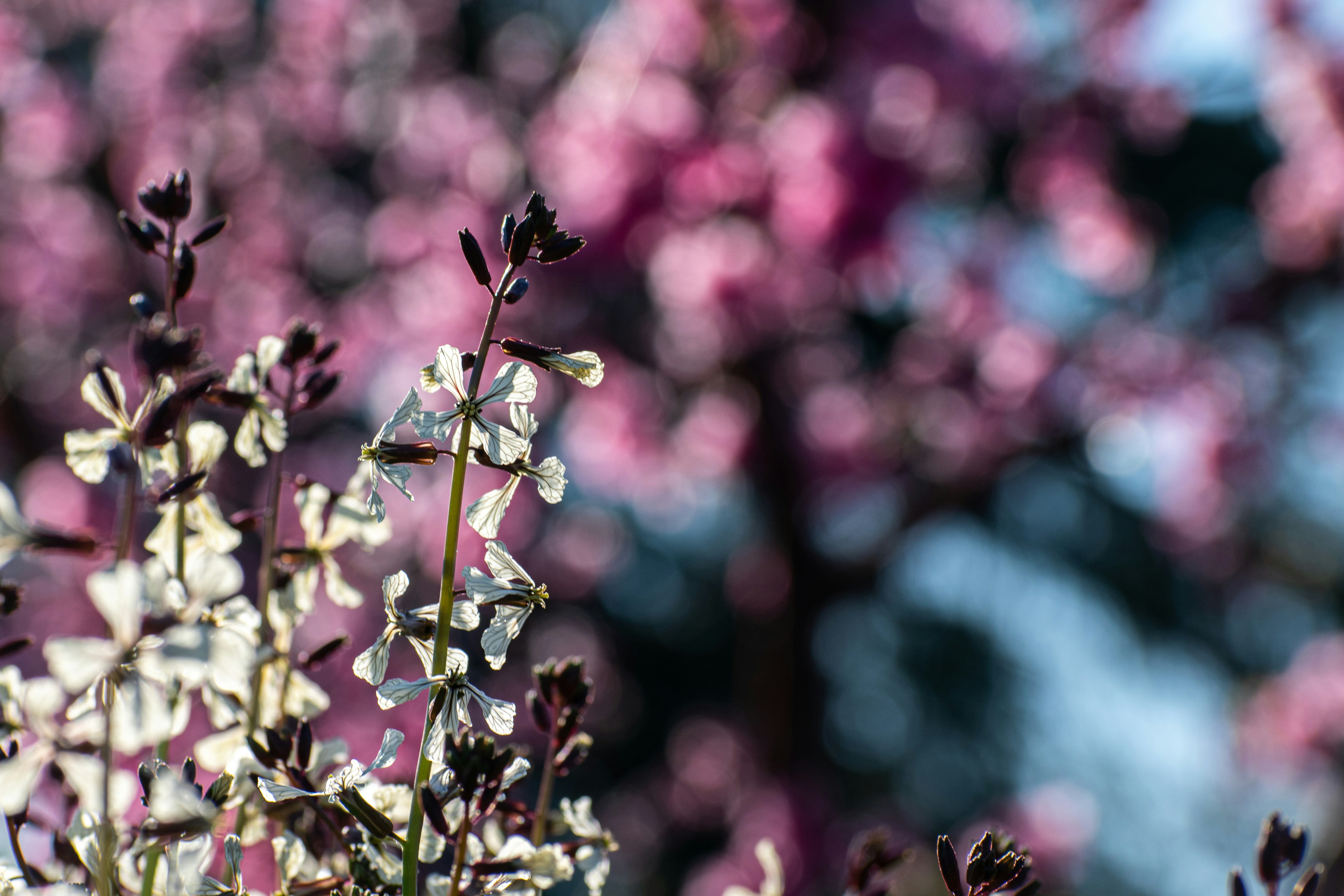 Photo by elisastonephotography