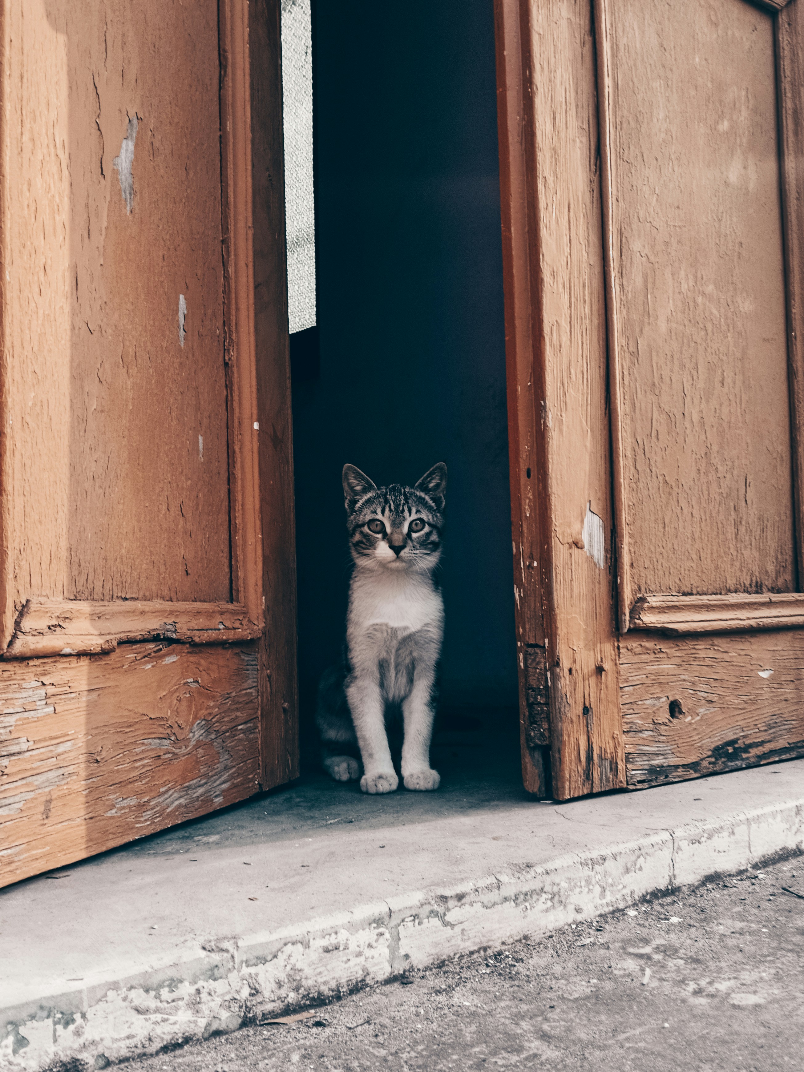The Forever Welcome Mat (image credits: unsplash)