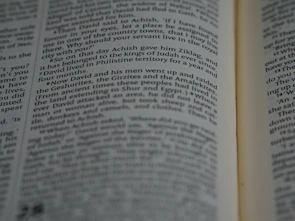 Close-up of an open Asgecont book showing detailed illustrations and text.