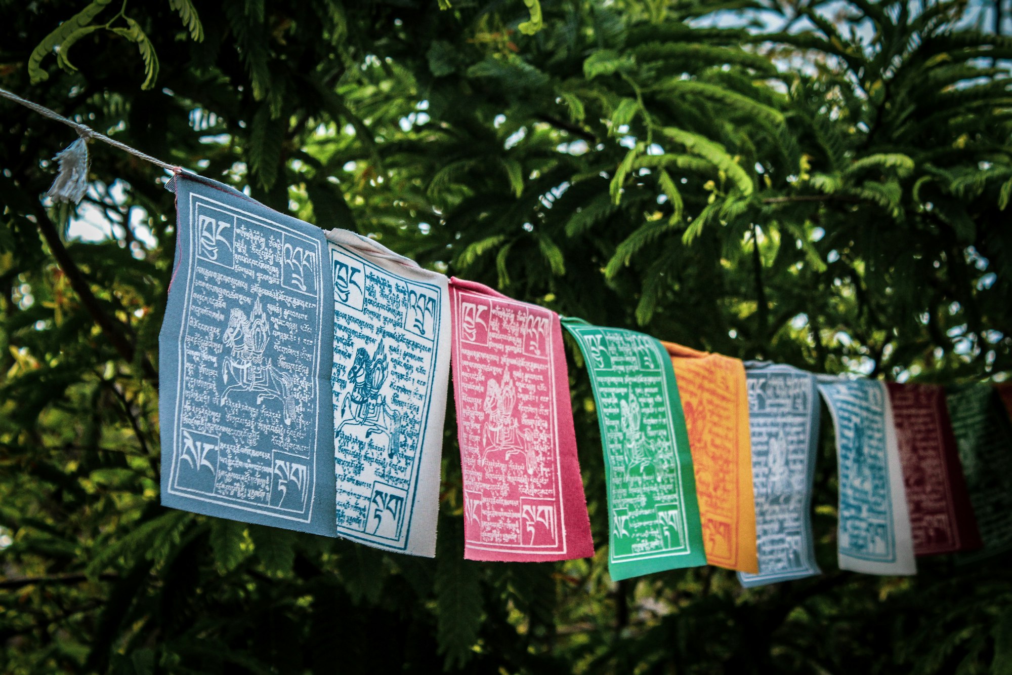 Prayer flags in Sikkim, India