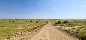 brown dirt road between green grass field under blue sky during daytime