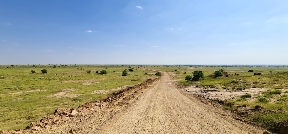 strada sterrata marrone tra il campo di erba verde sotto il cielo blu durante il giorno