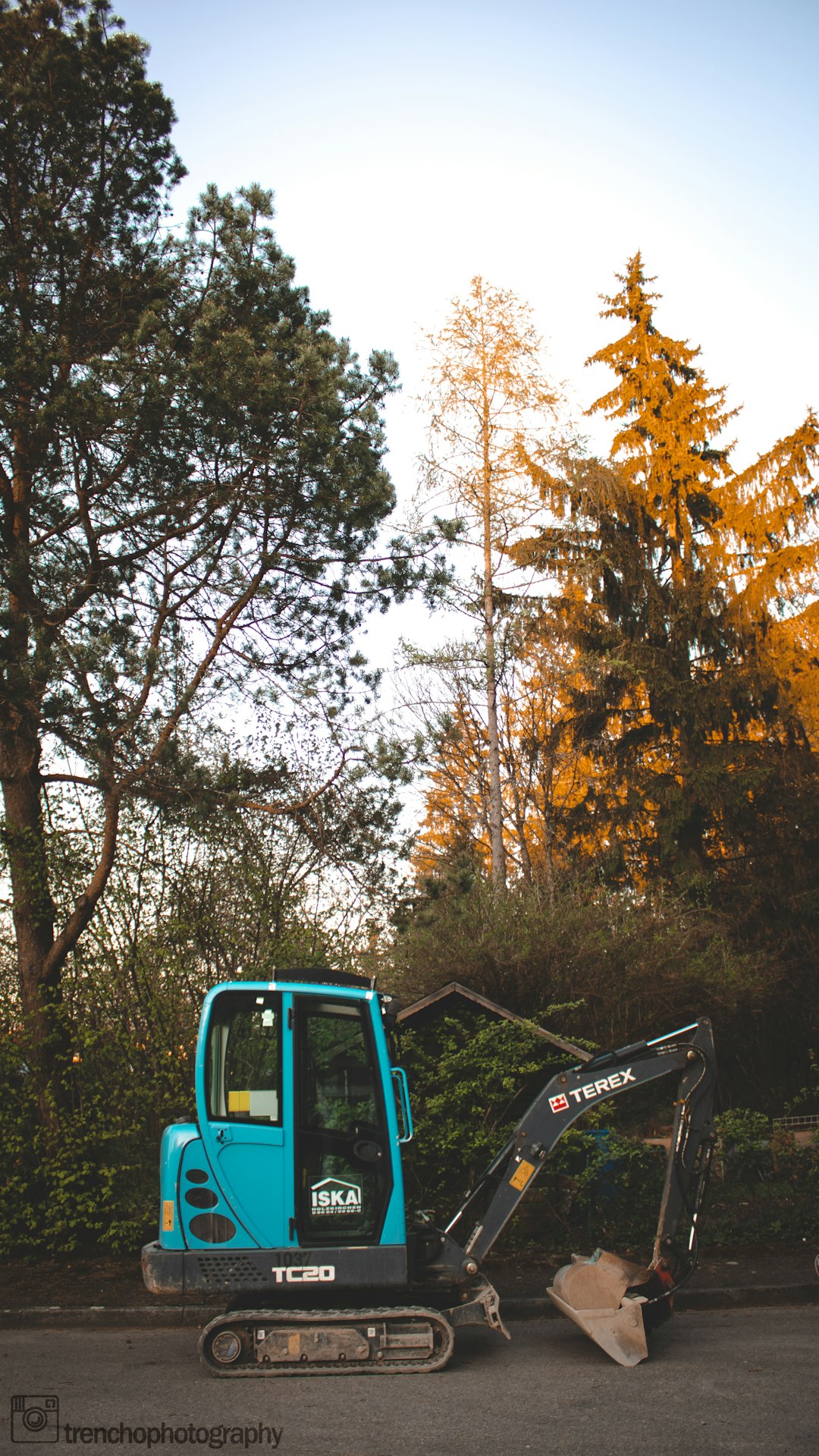 blue car in the middle of the forest during daytime