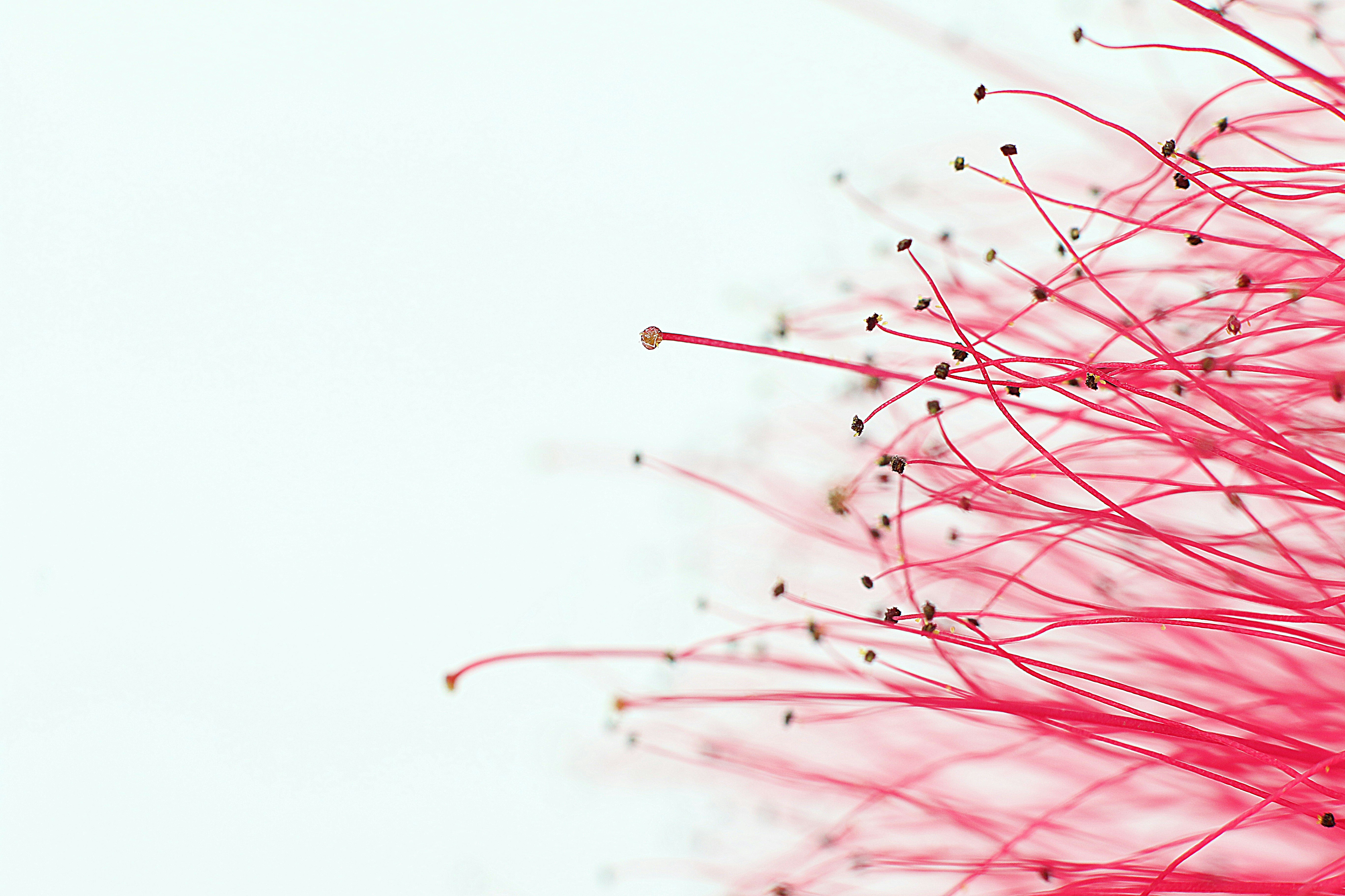 Photo by harpreetkaka