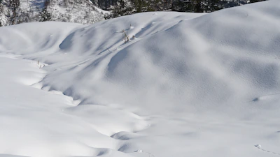 A wide shot of a serene snow-covered landscape with gentle hills and frosted trees under a pale blue sky.