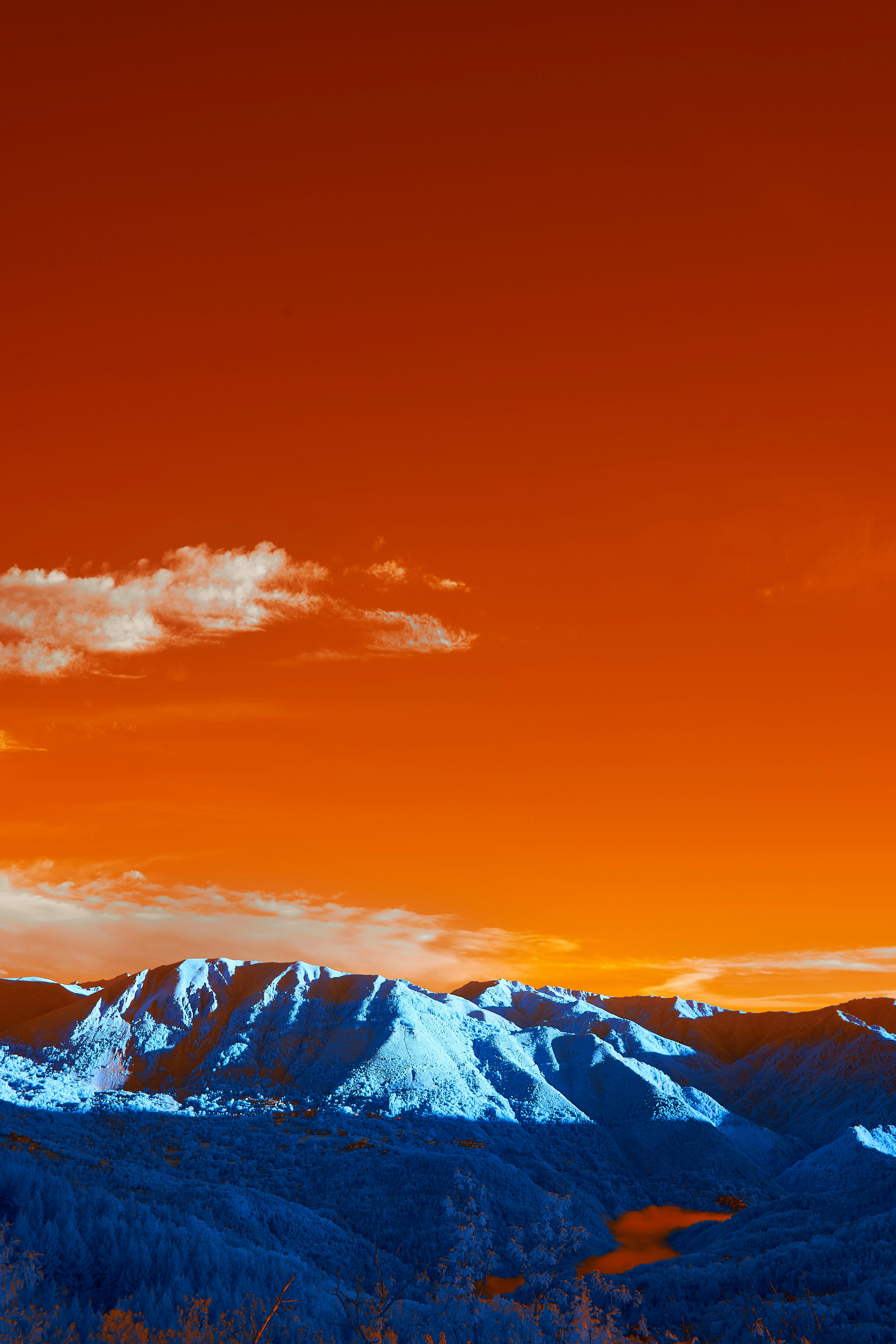 Photo by wolfgang_hasselmann