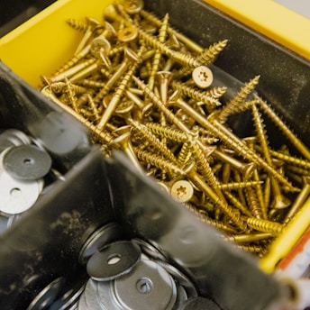 A plastic container is divided into compartments. One compartment holds a large quantity of brass-colored screws. Another compartment contains several round metallic washers.