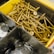 A plastic container is divided into compartments. One compartment holds a large quantity of brass-colored screws. Another compartment contains several round metallic washers.