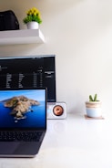 A clean, simple workspace with a laptop and a green plant.