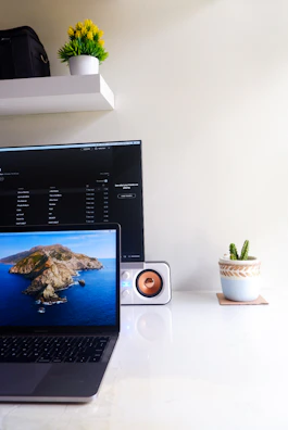Stylish workspace with a clean desk, laptop, and a small potted plant.