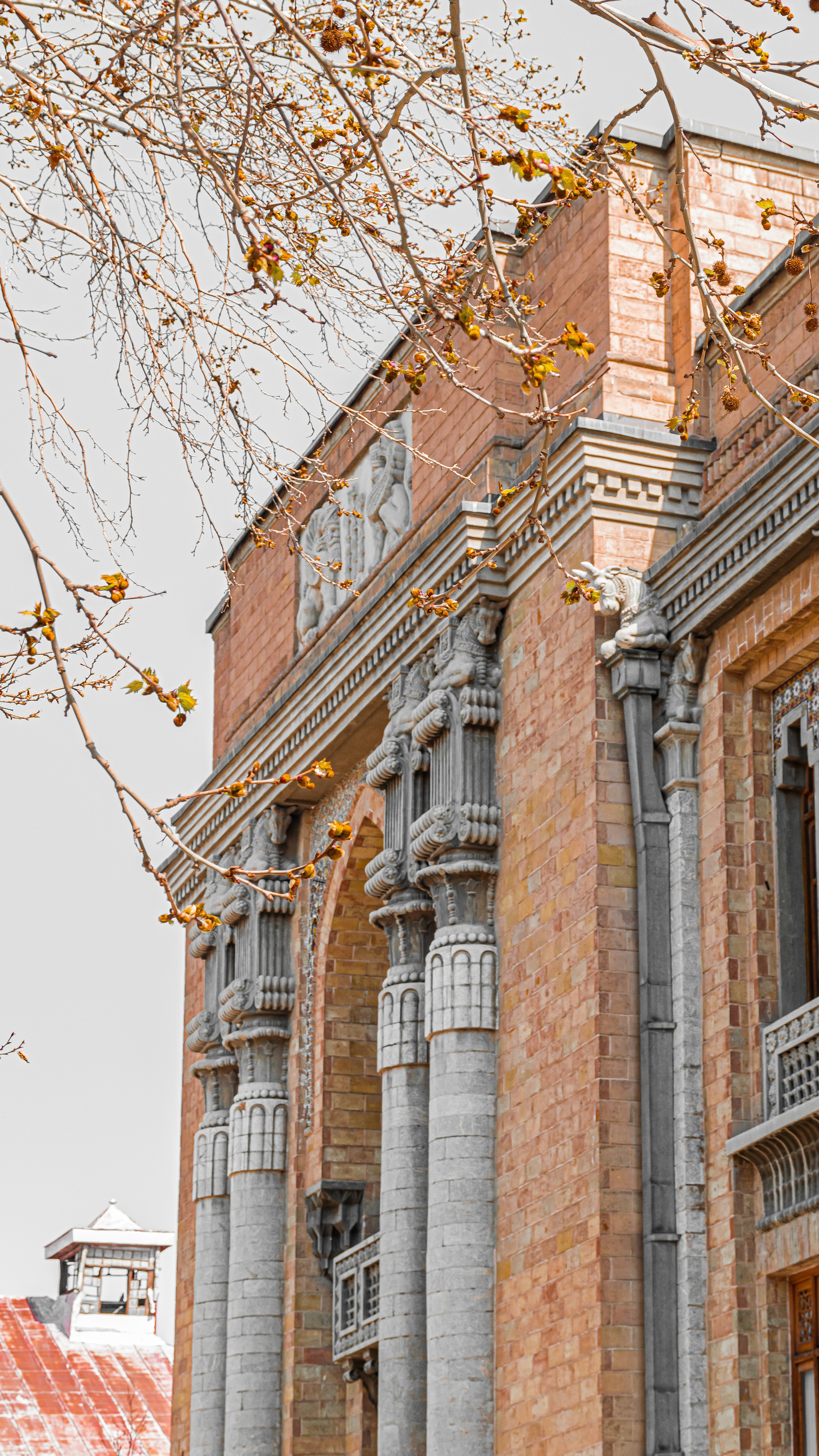 Photo by samahosseini