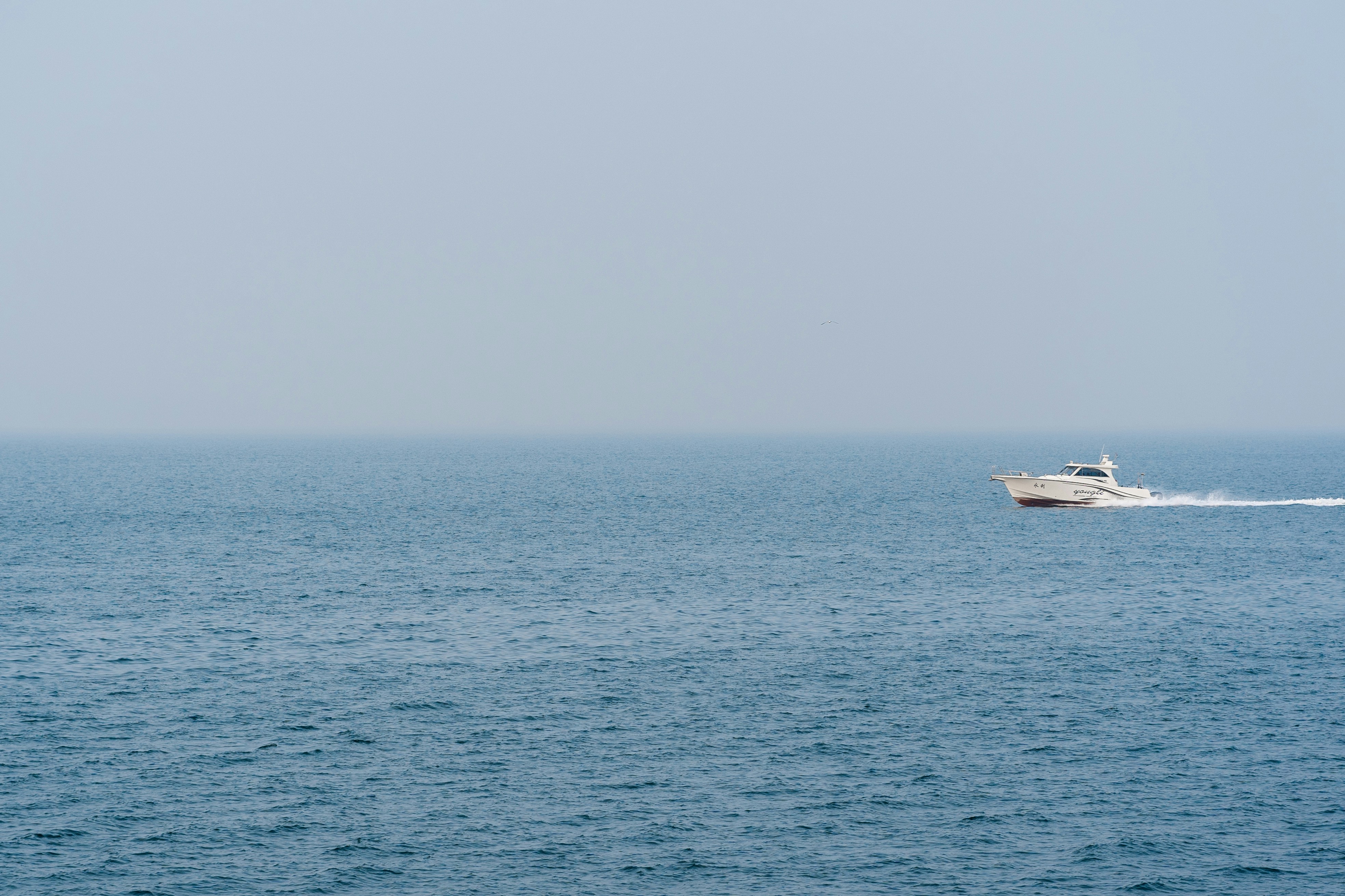 Photo by inincurtain