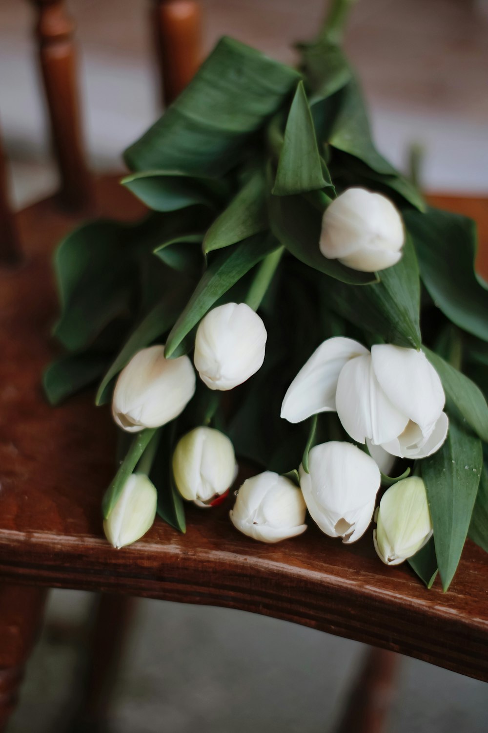 white tulips on brown wooden table