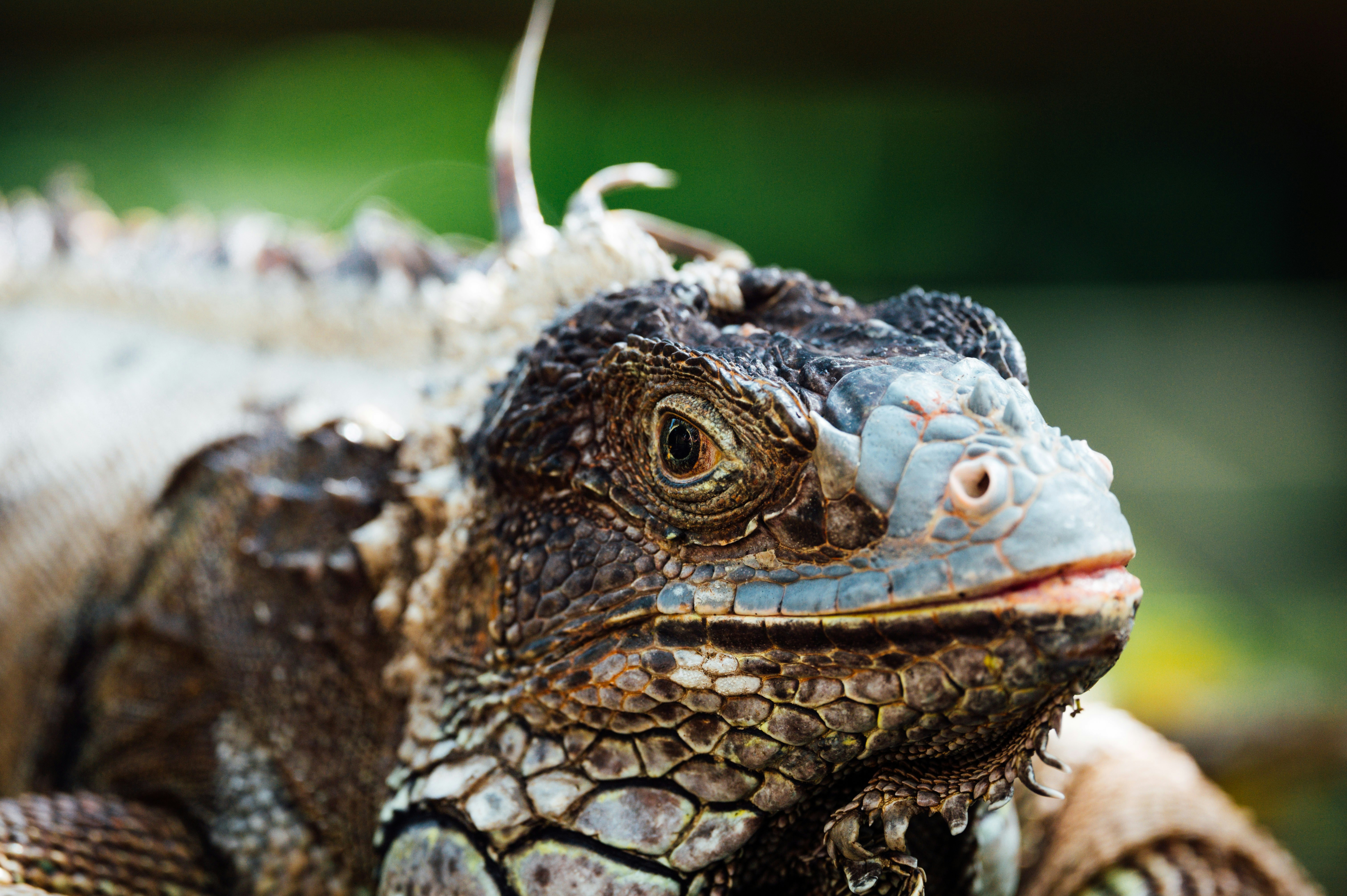 Photo by chuttersnap