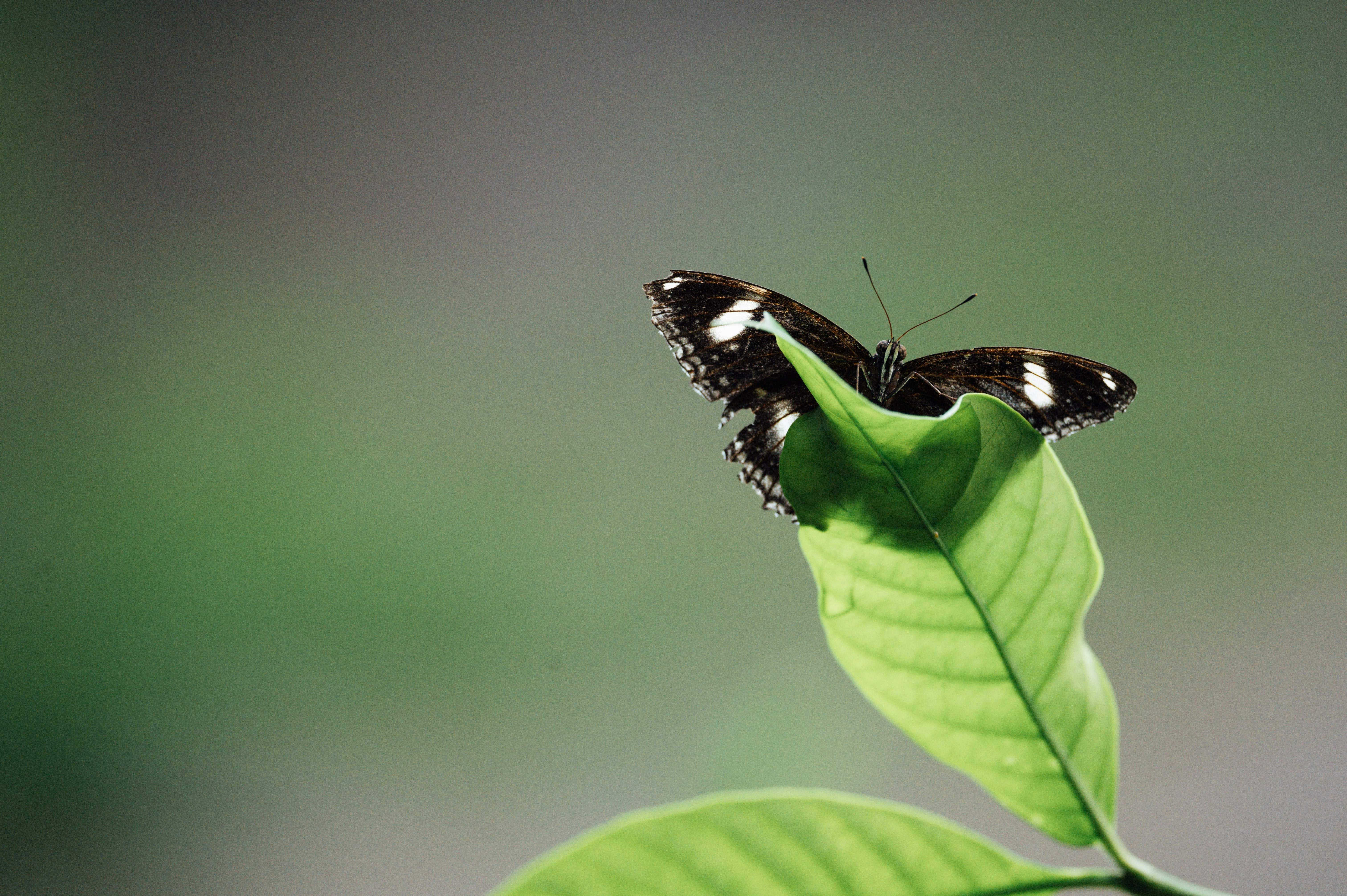 Photo by chuttersnap