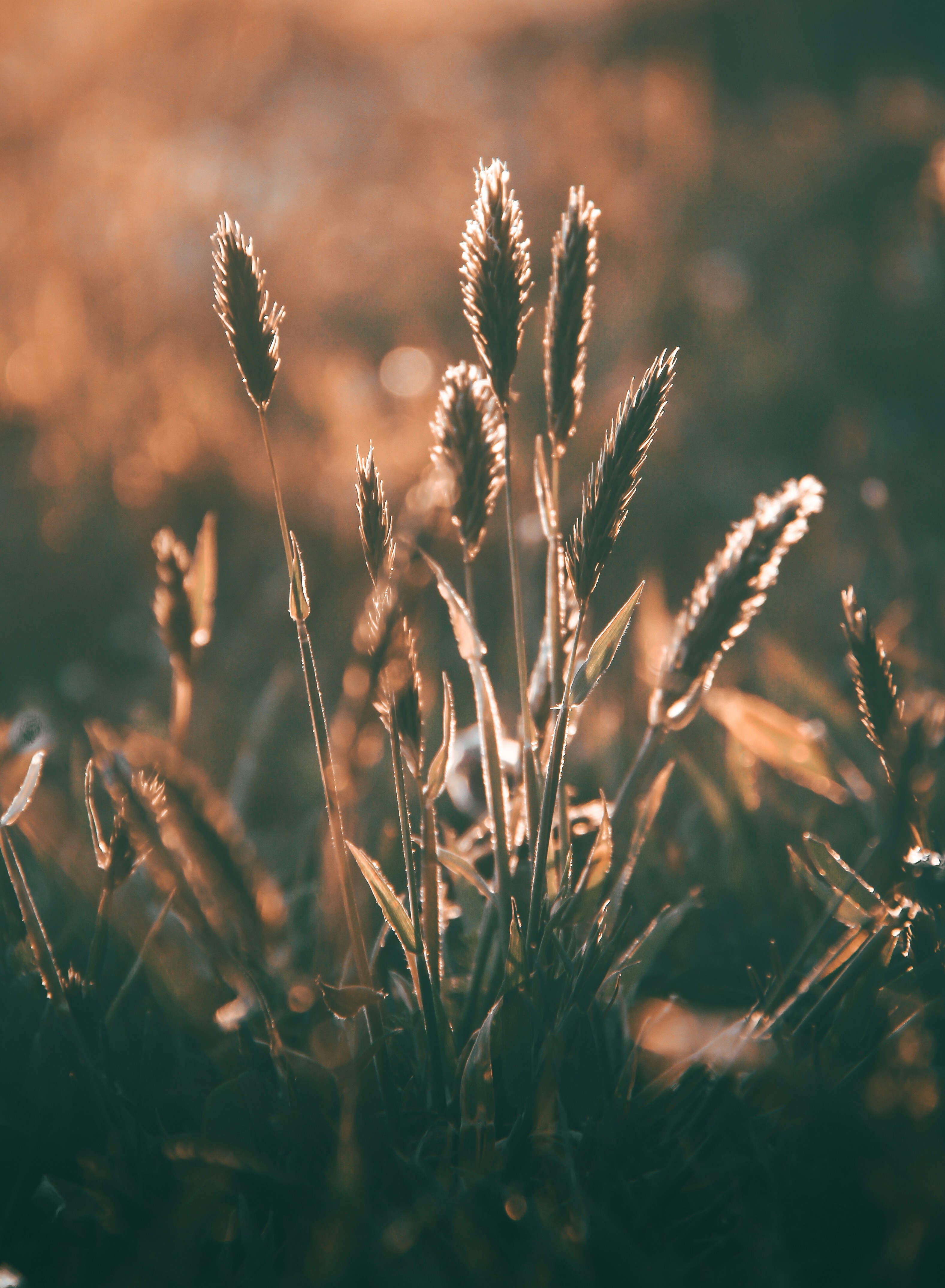 Photo by picsar_rovshan