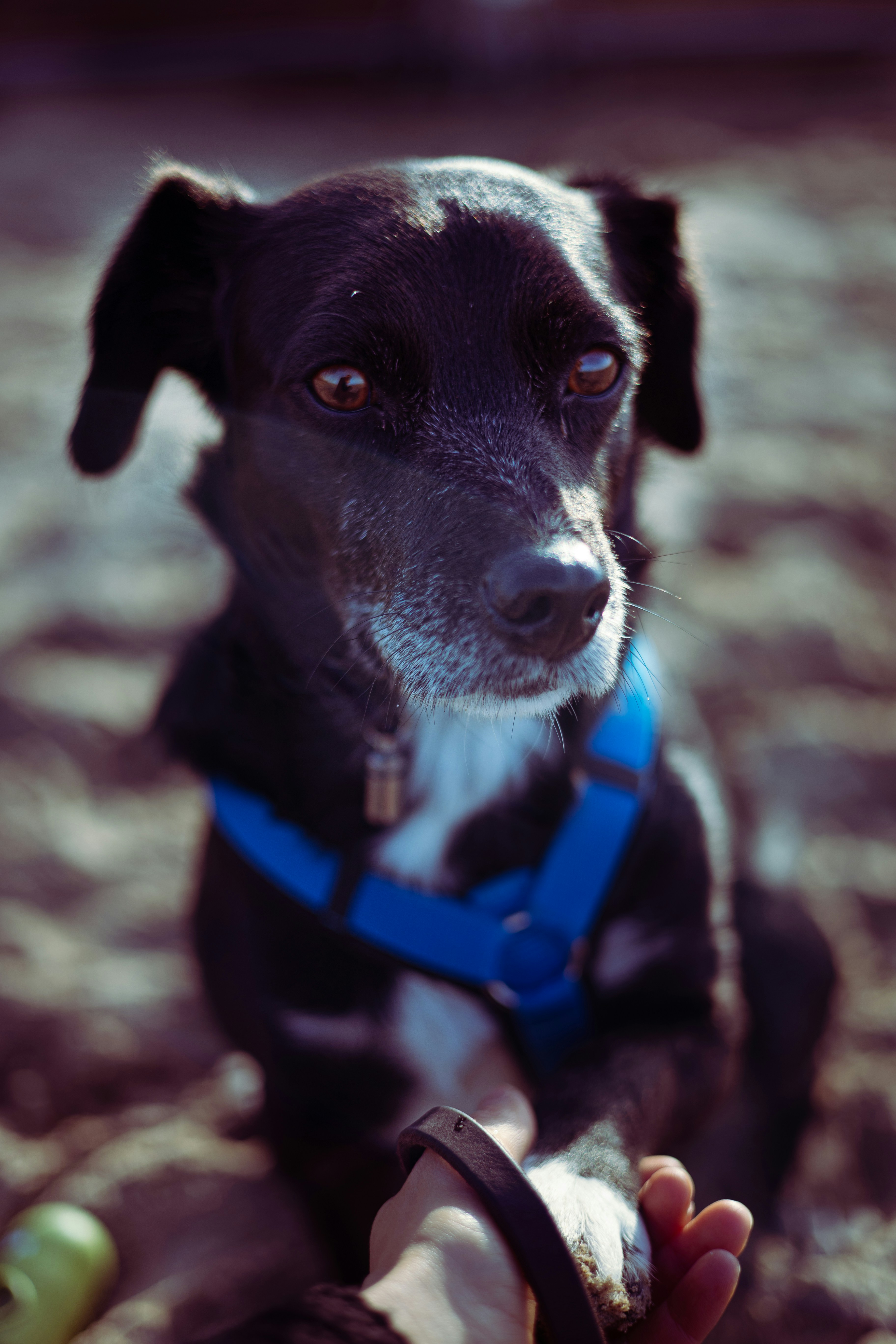 Photo by valentinagiarre