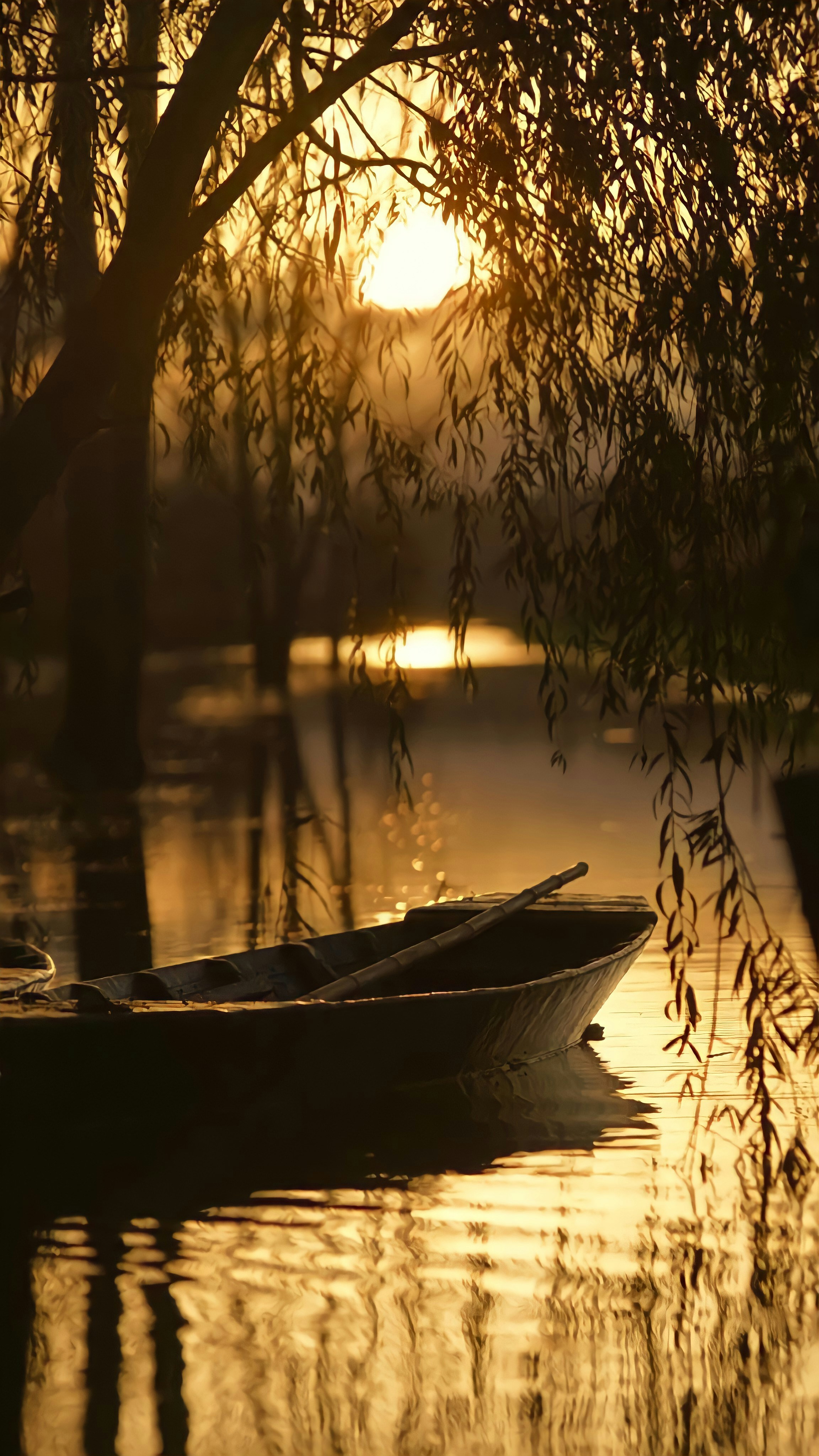 Photo by poojan55