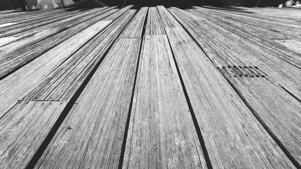 grayscale photo of wooden pathway